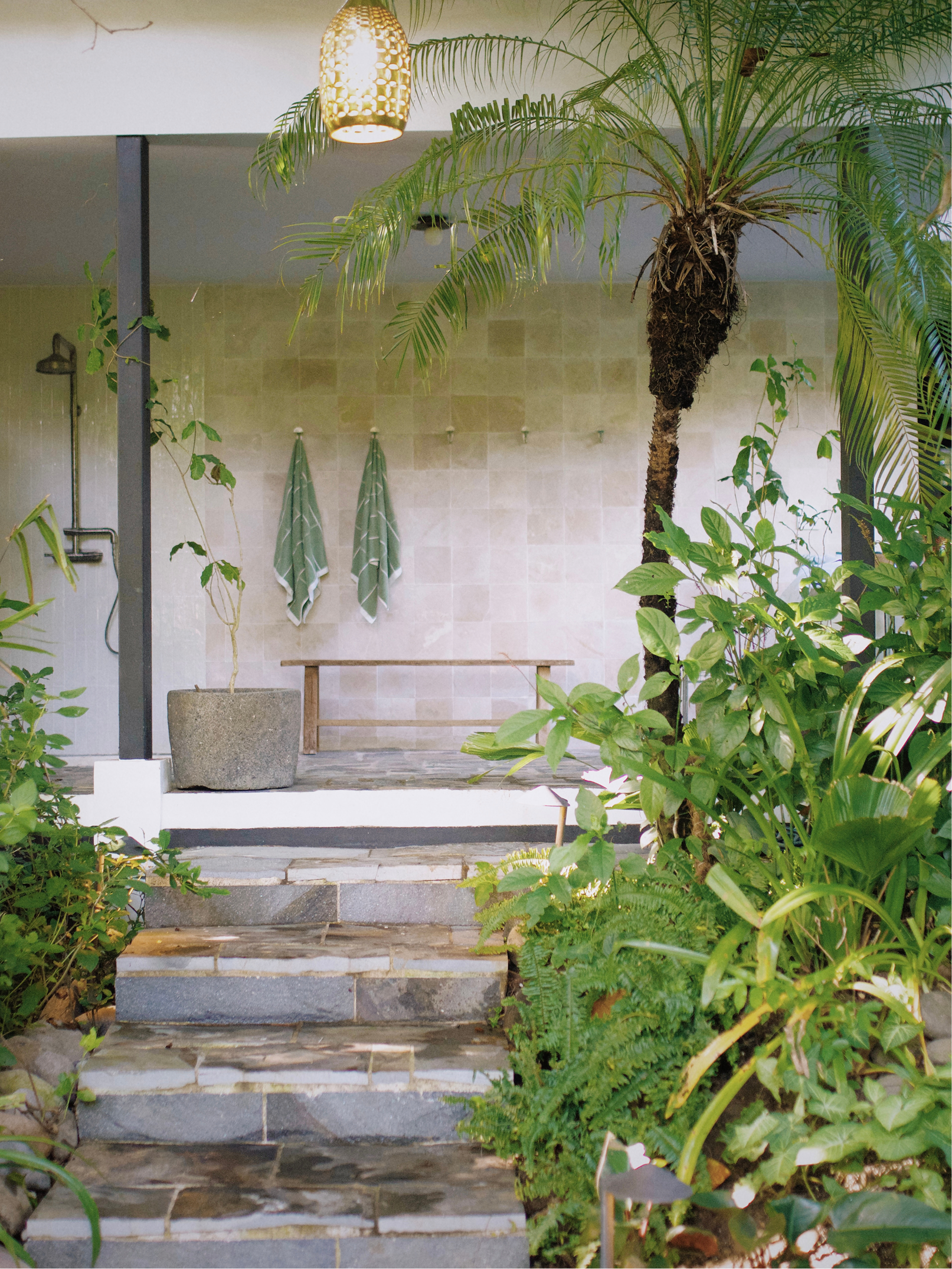 An outdoor garden space with a potted palm tree on a staircase landing, surrounded by lush green foliage. Two striped towels hang on hooks on the wall behind the tree, and a warm light hangs from the ceiling.