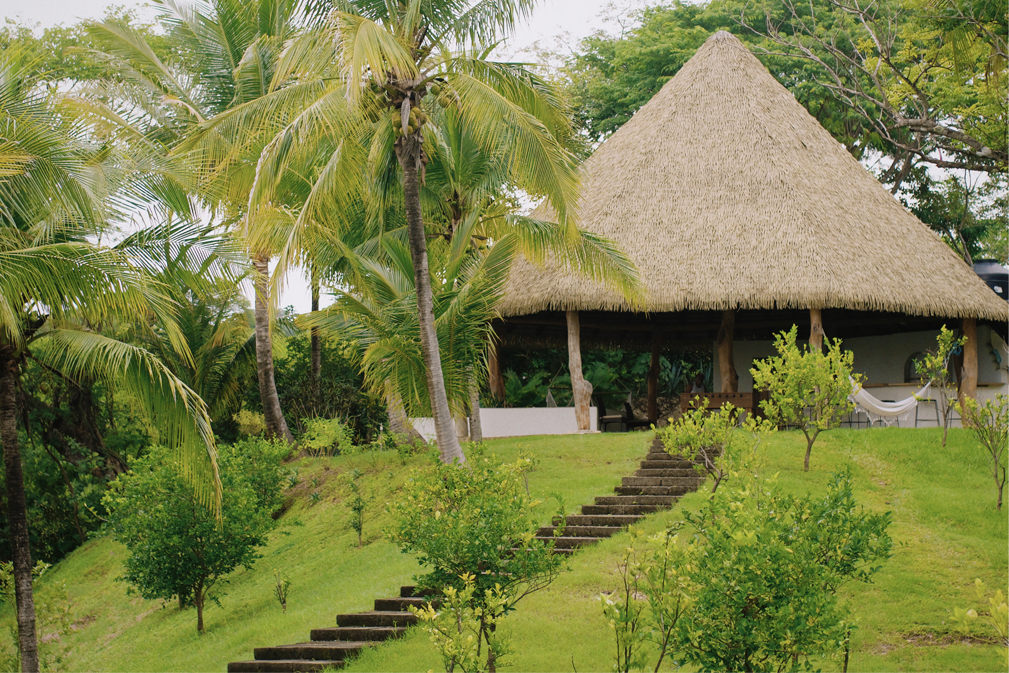A tropical scene with palm trees, lush greenery, steps leading to a thatched-roof hut, and a hammock in a garden.