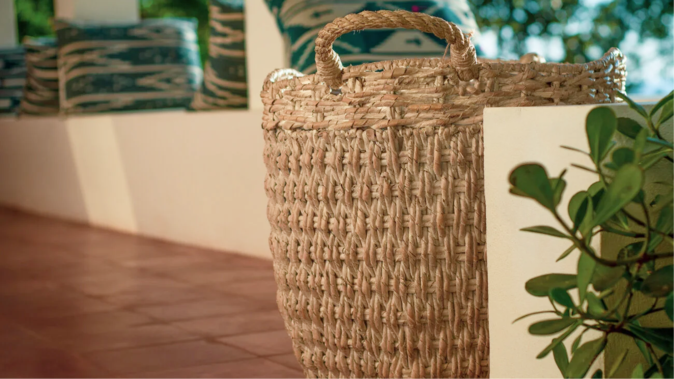 A woven wicker basket with a handle on a wooden surface, next to a green leafy plant, with several other patterned baskets in the background.