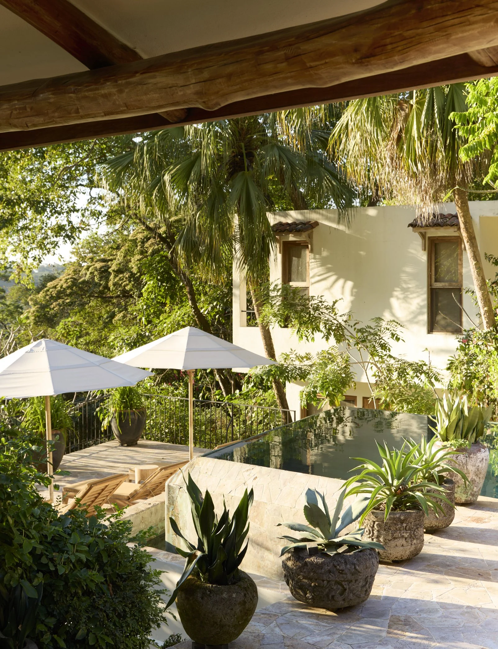Sunny outdoor patio area with large potted plants, umbrellas, a small pool, and a house with two windows, surrounded by trees and greenery.