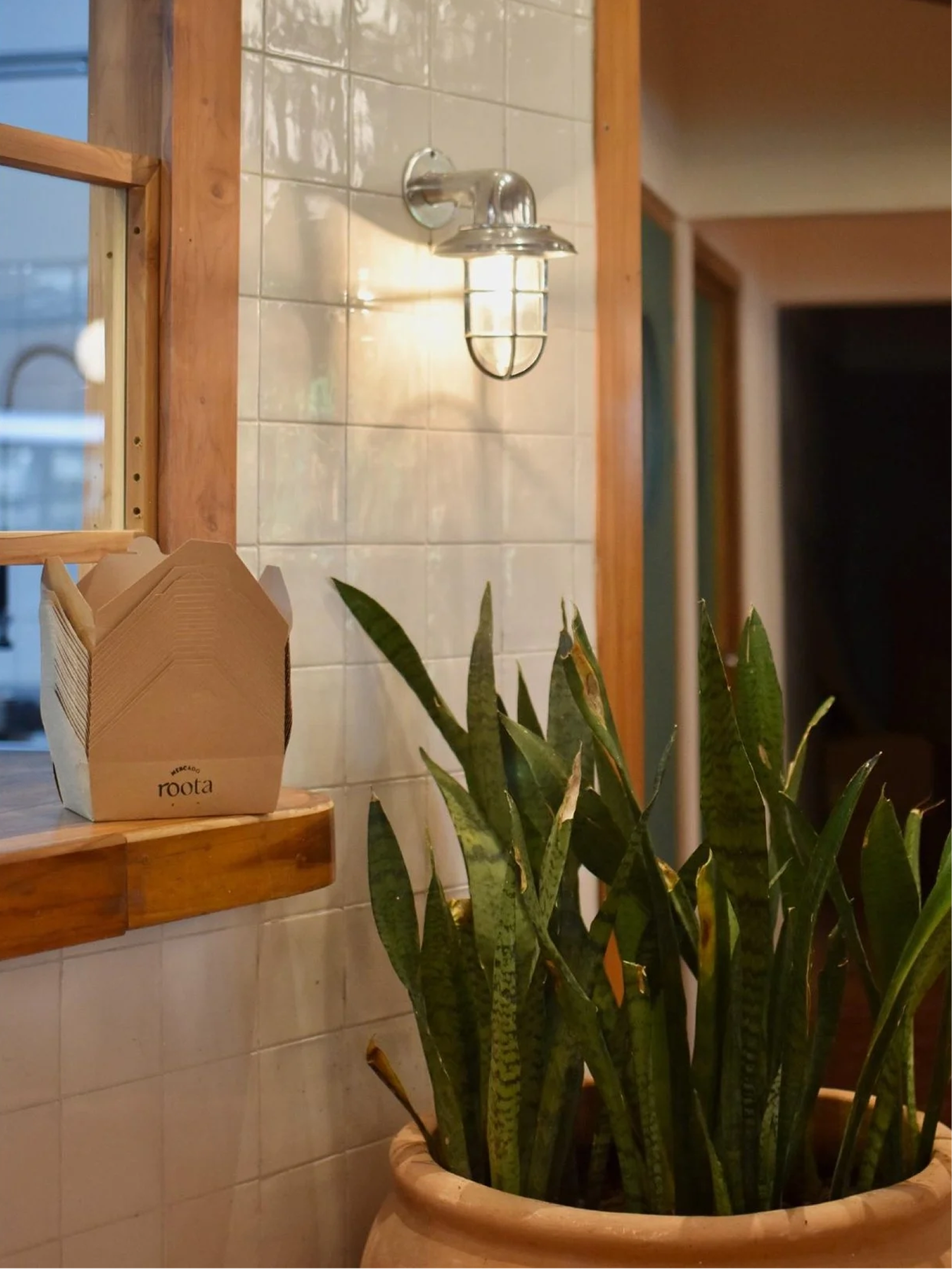 A large snake plant in a beige pot, placed in front of a tiled wall with a silver wall-mounted light fixture nearby.