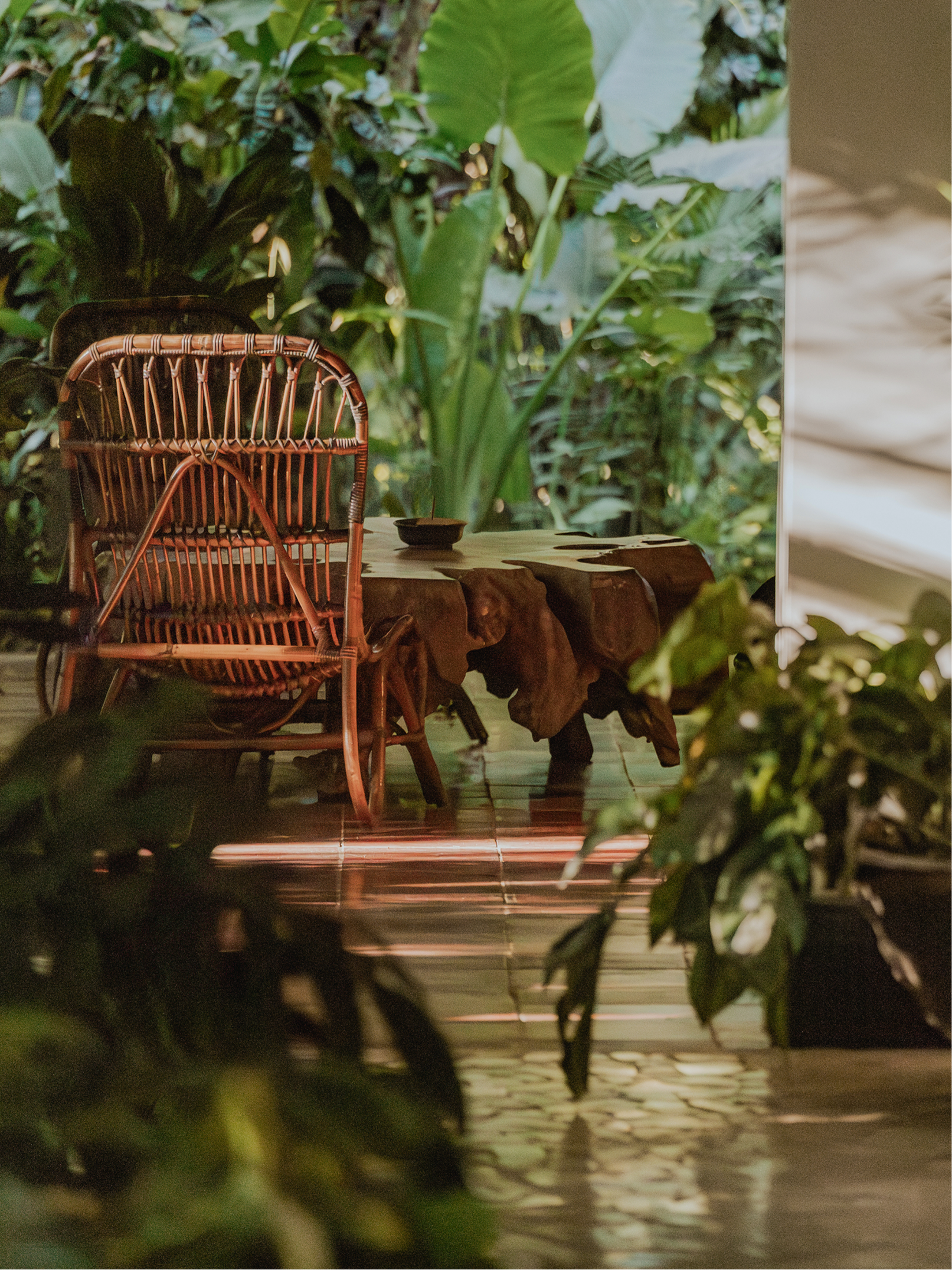 A wicker chair with a curved backrest and armrest, placed near a rustic wooden table which has a small dark bowl on it, set against a lush backdrop of green tropical plants and leaves.