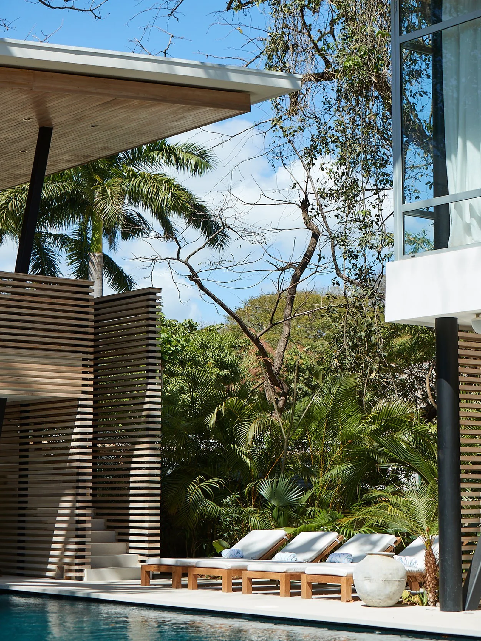Modern outdoor poolside area with lounge chairs, wooden furniture, lush greenery including palm trees, and a contemporary house with large glass windows.