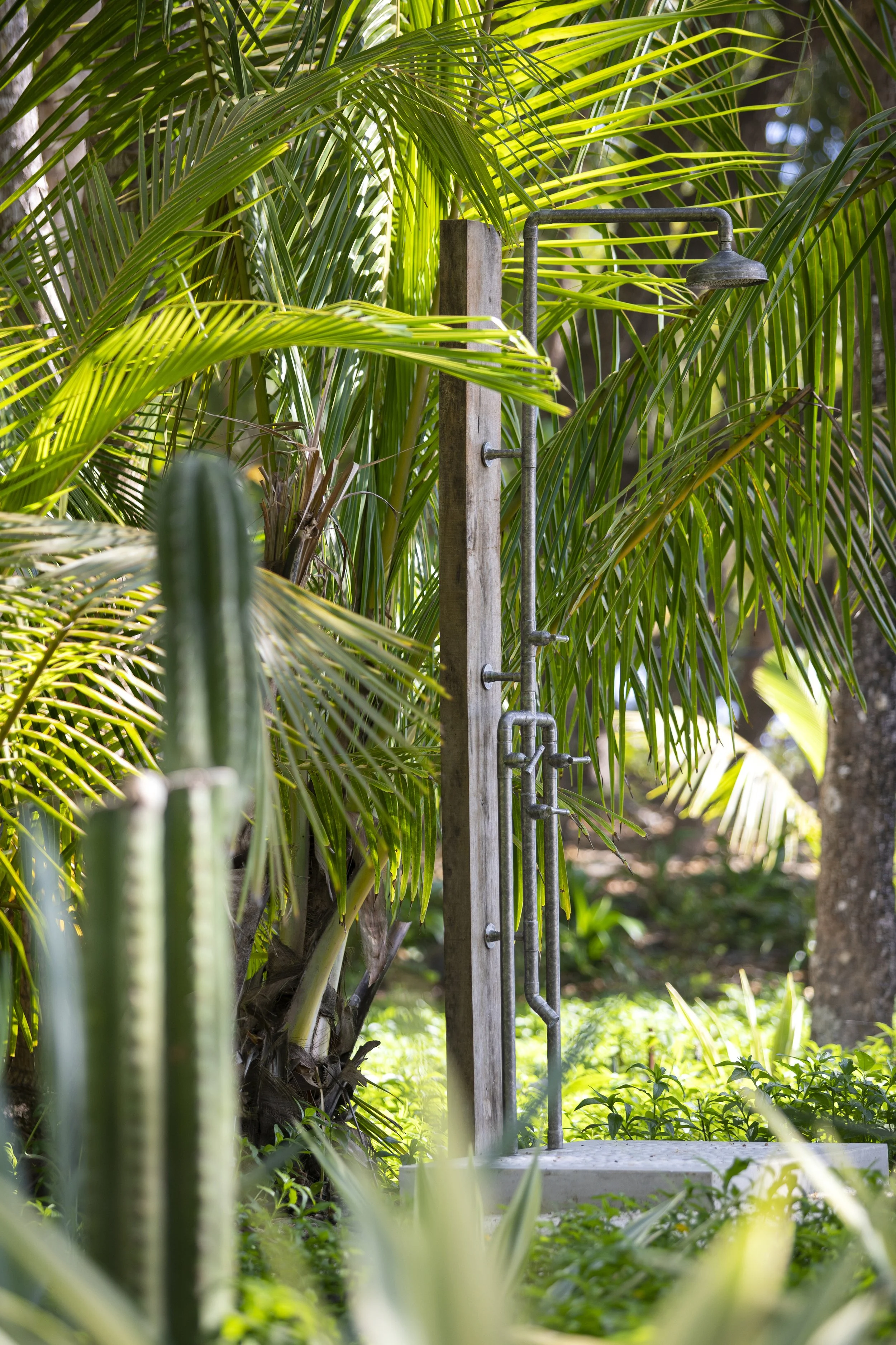 An outdoor shower surrounded by lush green tropical plants, including palm leaves, with a concrete and metal shower fixture.