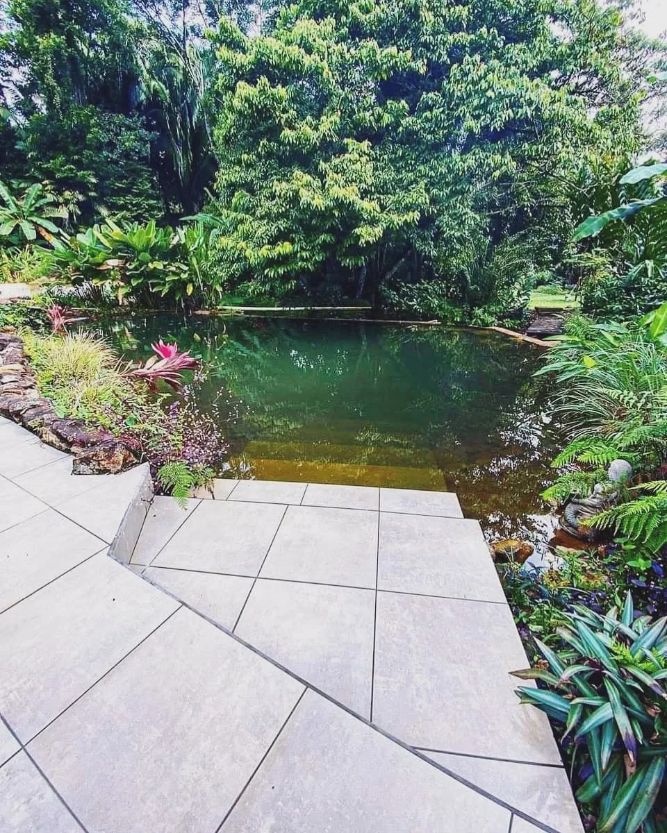 natural-pool-sattvaland-retreats-belize.jpg