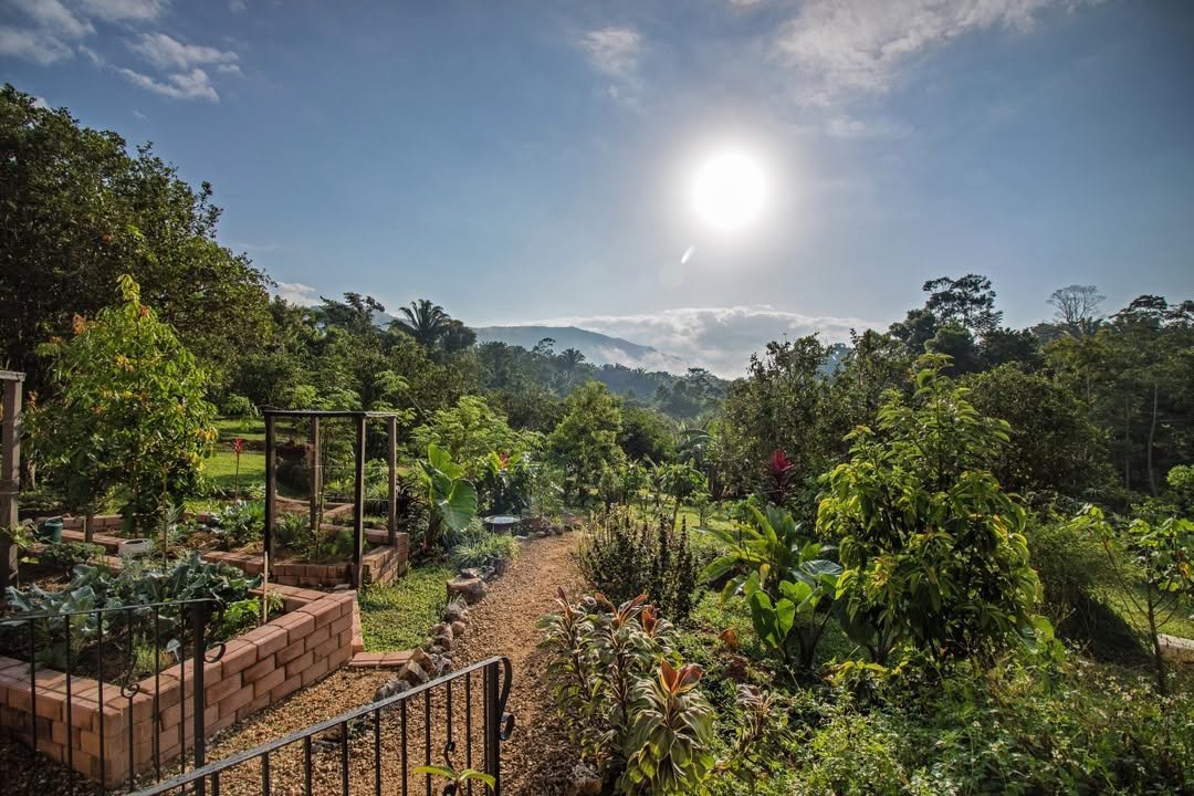 gardens-sattva-land-belize-retreats.jpg