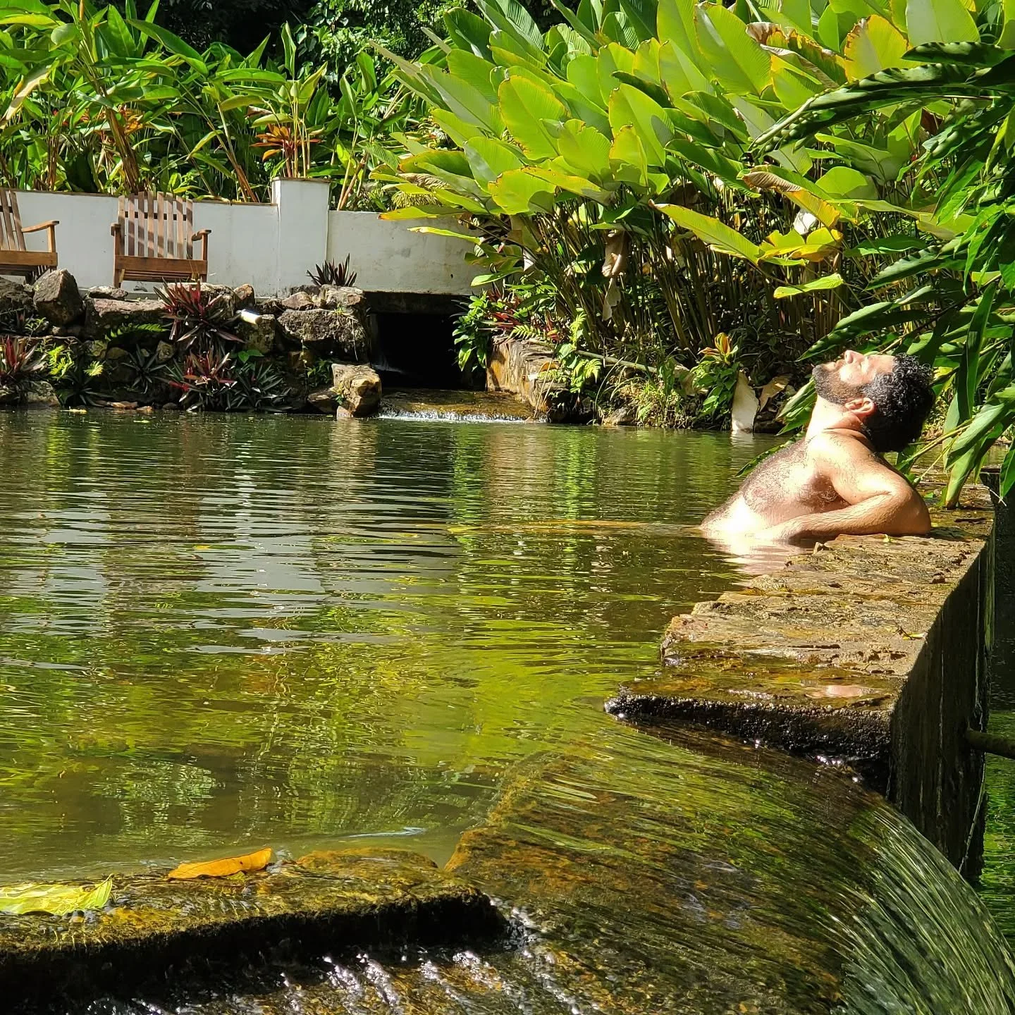 natural-pool-sattva-land-retreat.jpeg