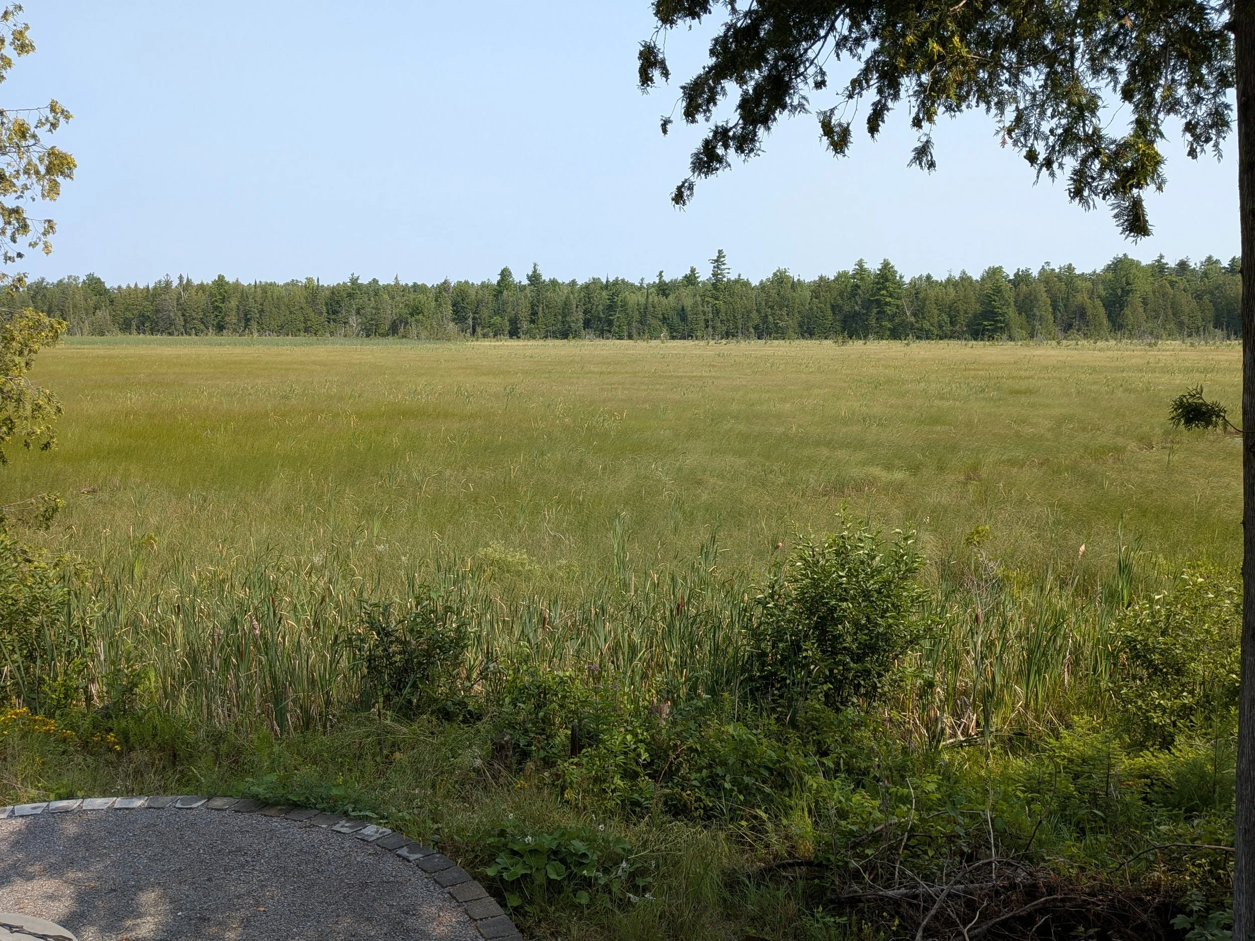 PXL_20260727_145656520.jpg