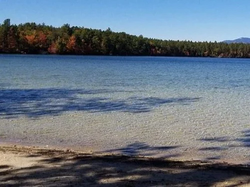 A lake with calm water, surrounded by a forest with trees showing fall colors, under a clear blue sky.