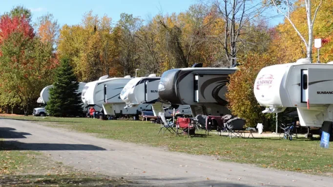 Row of fifth-wheel RV campers parked on grassy area with trees and fall foliage in background.