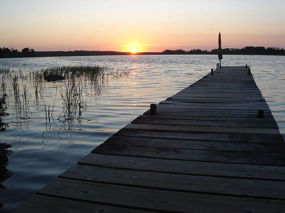 A wooden dock extending into a calm lake at sunset, with reeds growing in the water and a clear sky with the sun near the horizon.