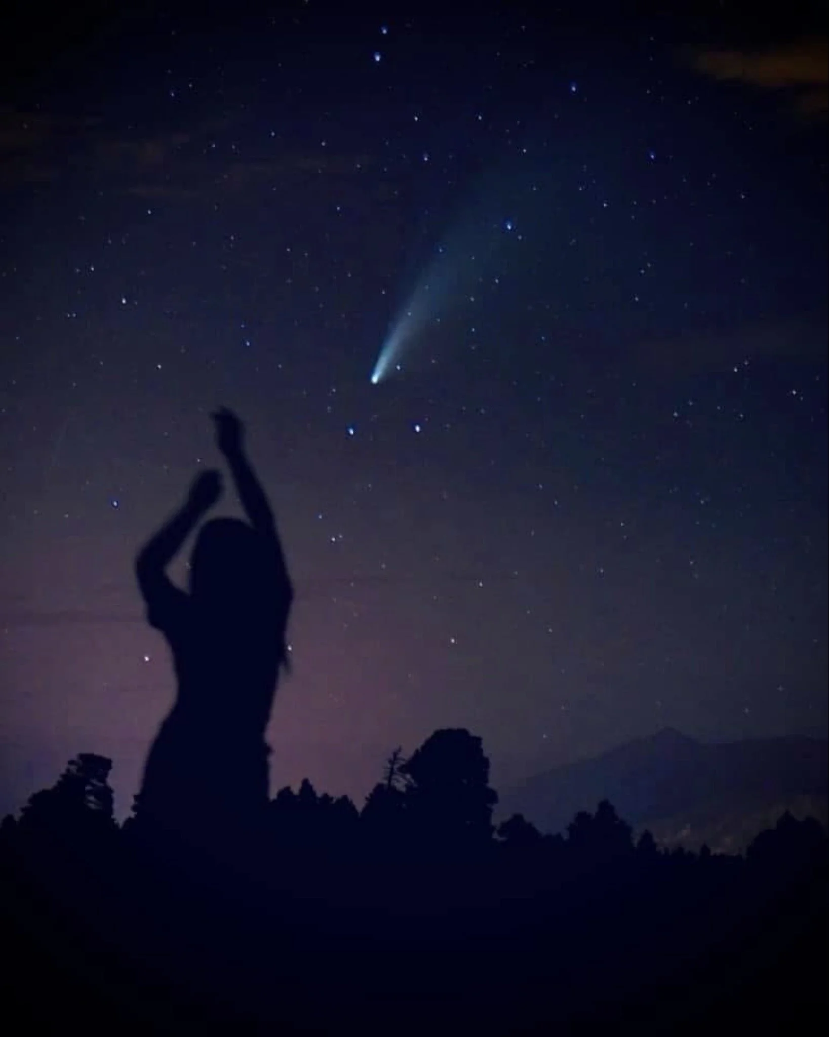 Night sky filled with stars and a visible comet with a bright tail, silhouetted trees and a person with raised hands in the foreground.