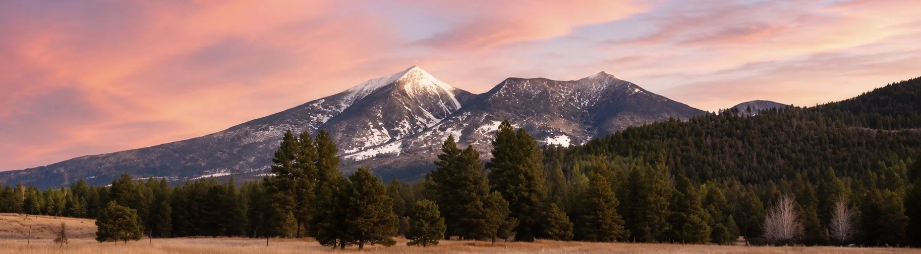 Snow-capped mountains at sunset with a sky of pink and purple hues, forested hills, and a field of trees in the foreground.