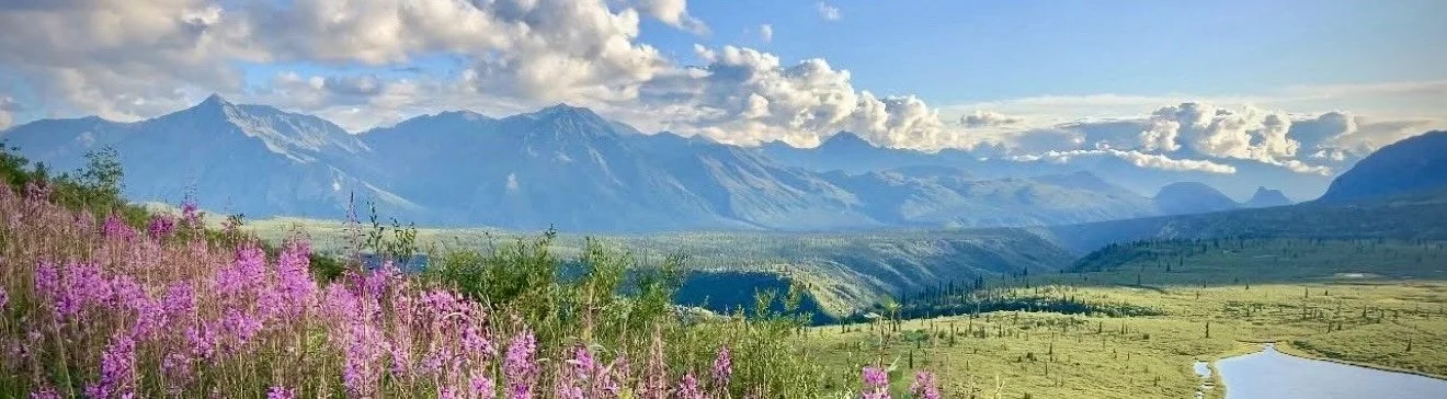 Mountain valley filled with wildflowers representing spiritual care, reflection, meaning making, and connection to nature.