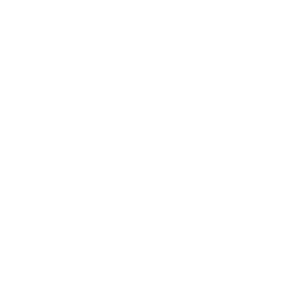 A white North Star symbol on a black background.
