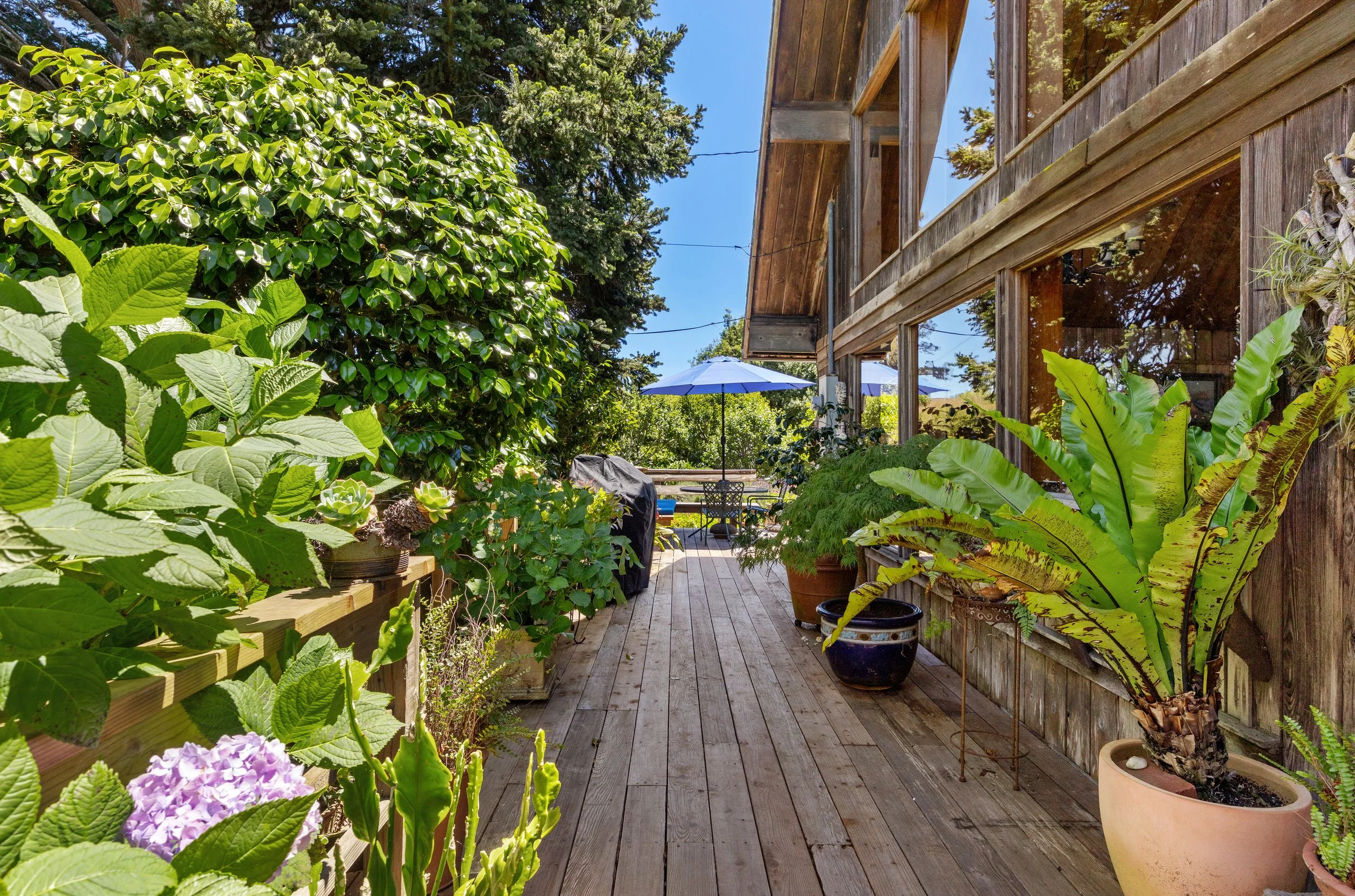 385Cedar 32 MidRes.jpg