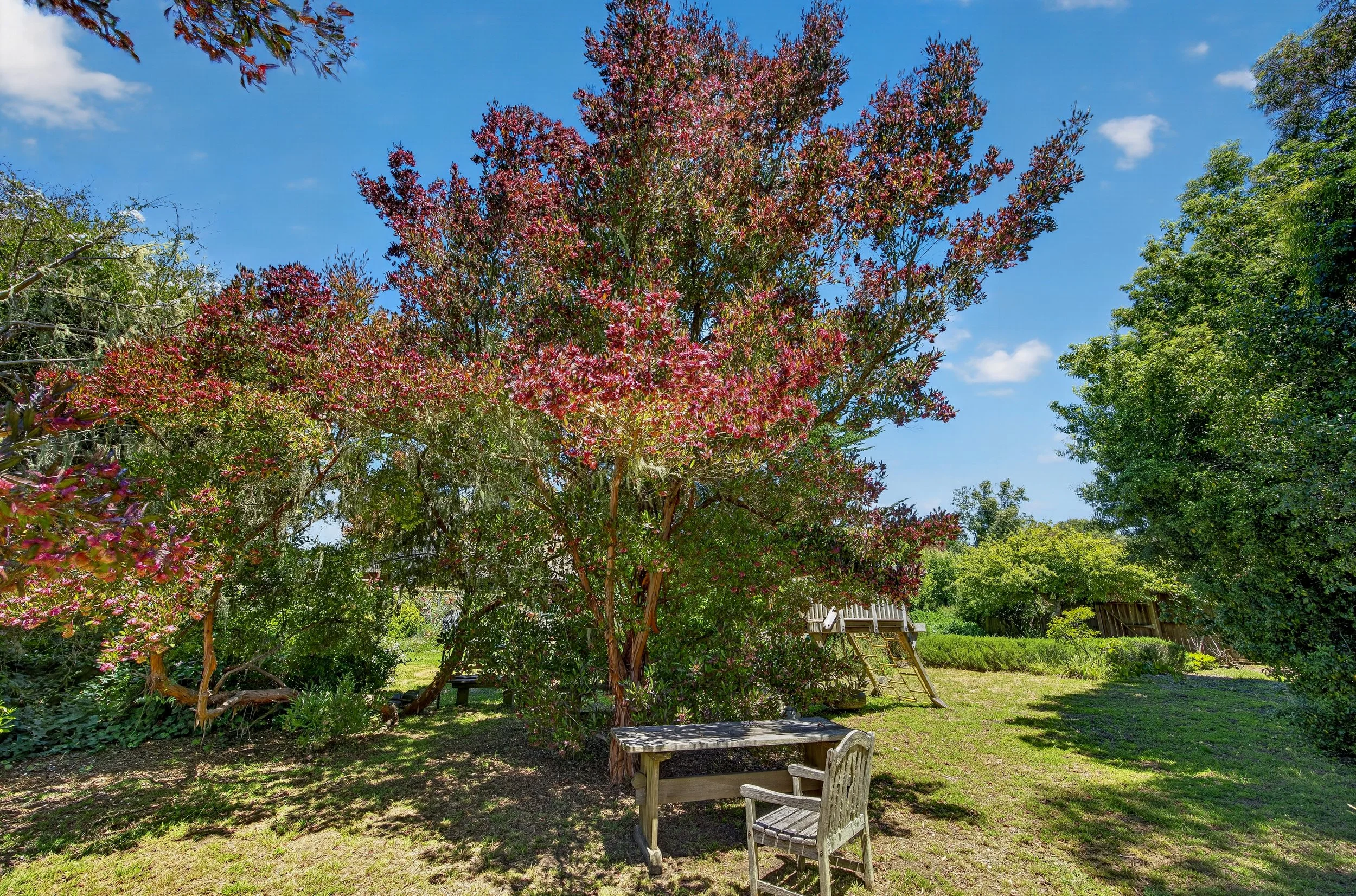 385Cedar 257 MidRes.jpg
