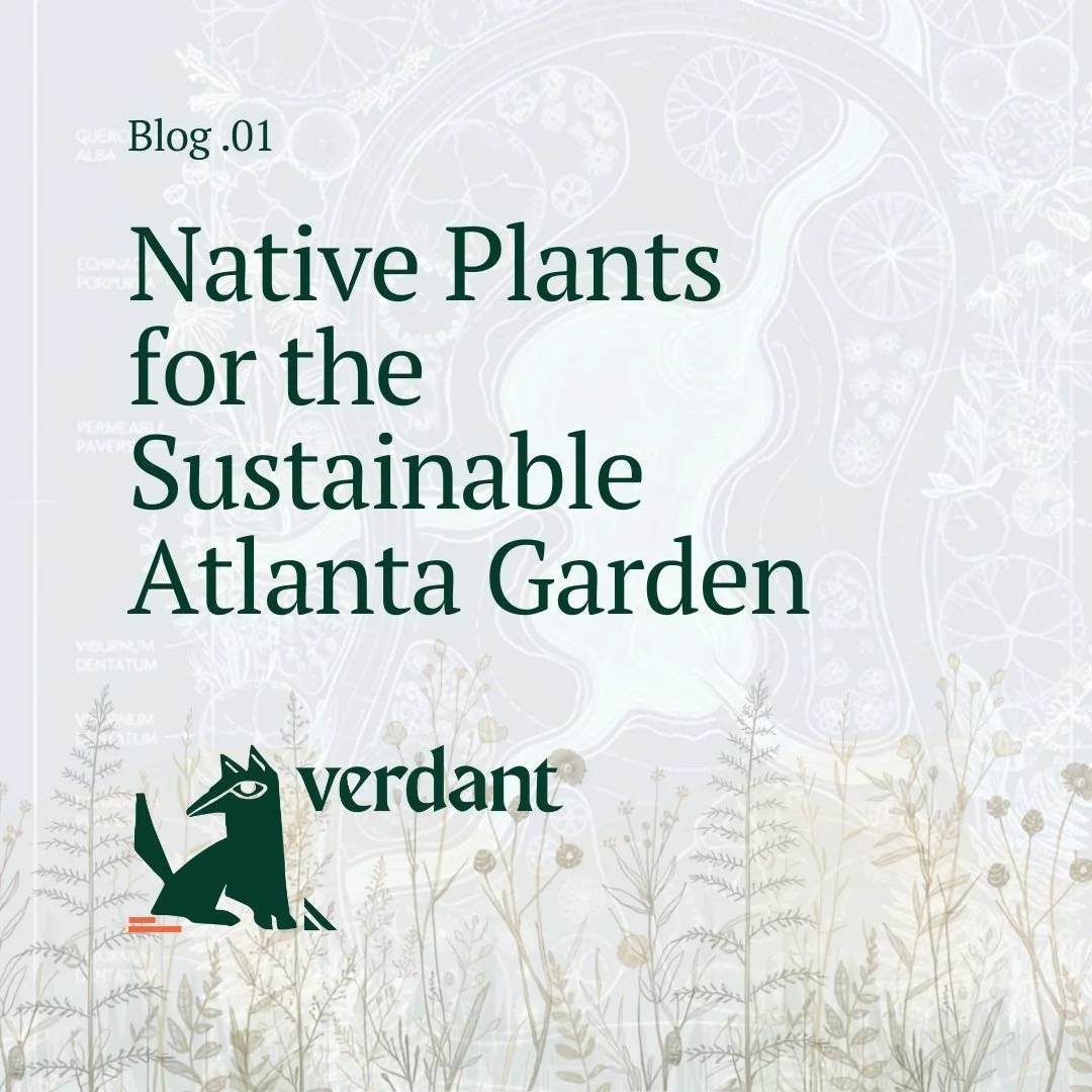 Why Native Plants are the Foundation of a healthy ecosystem.