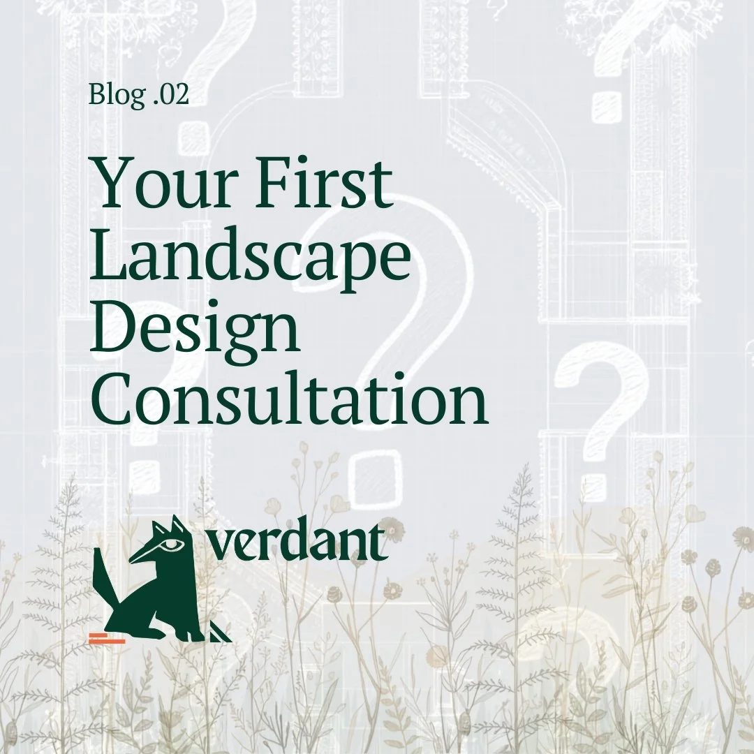 What to Expect From Your First Landscape Design Project