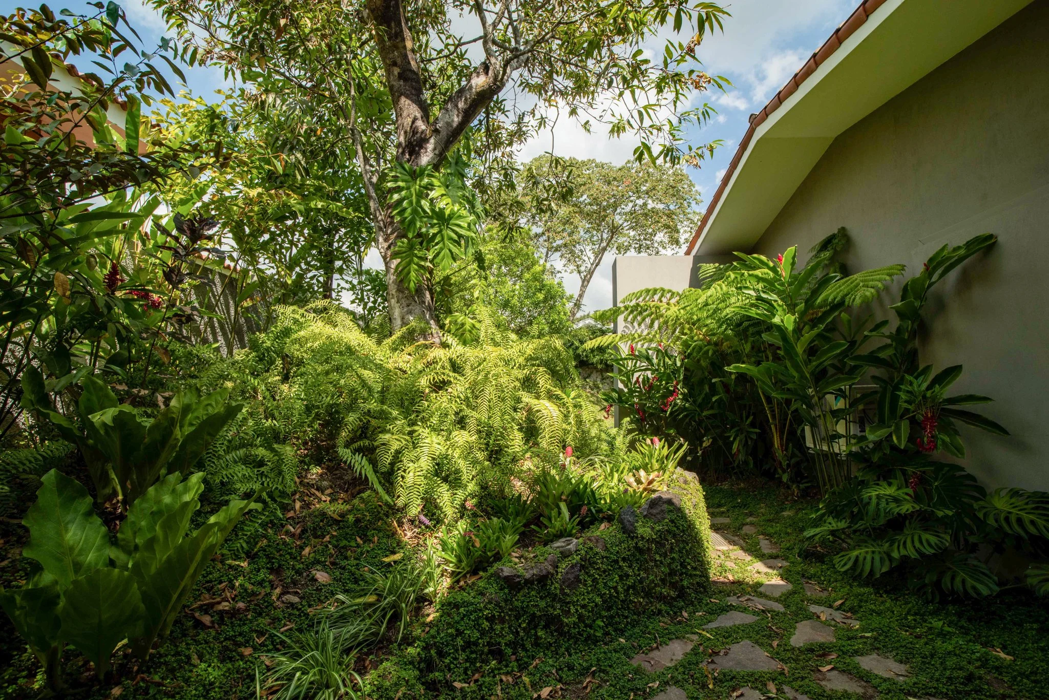 Lush green garden with various plants, a stone pathway, and a modern house with a sloped roof.