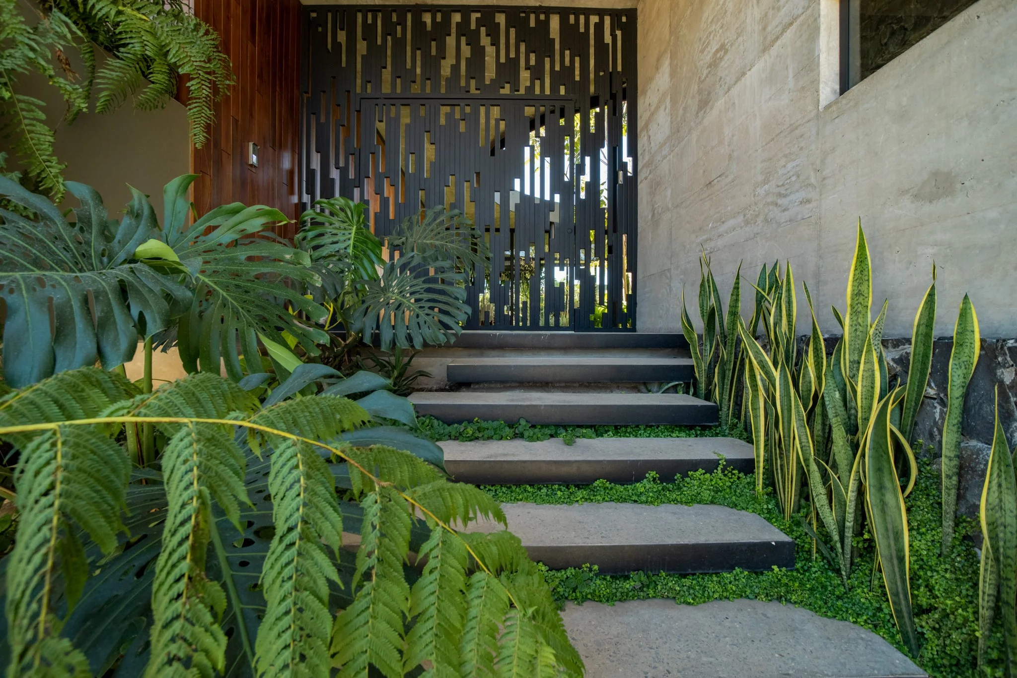 Entrance with modern black metal gate, surrounded by lush green plants and steps leading up to the door, with a wall on the right side and a wooden panel on the left.