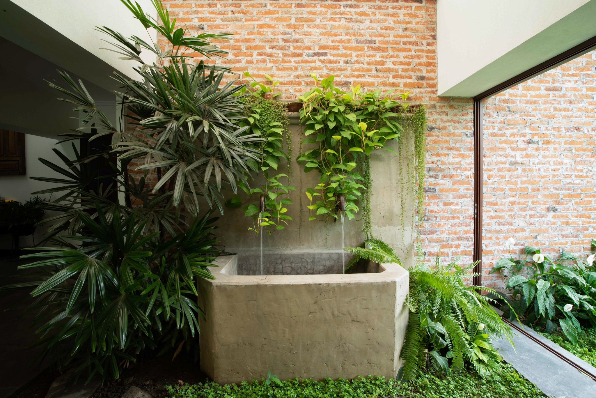 Indoor garden with lush green plants, including a large potted plant with spiky leaves, climbing vines, and ferns, set against a brick wall with a concrete water feature and a large window.