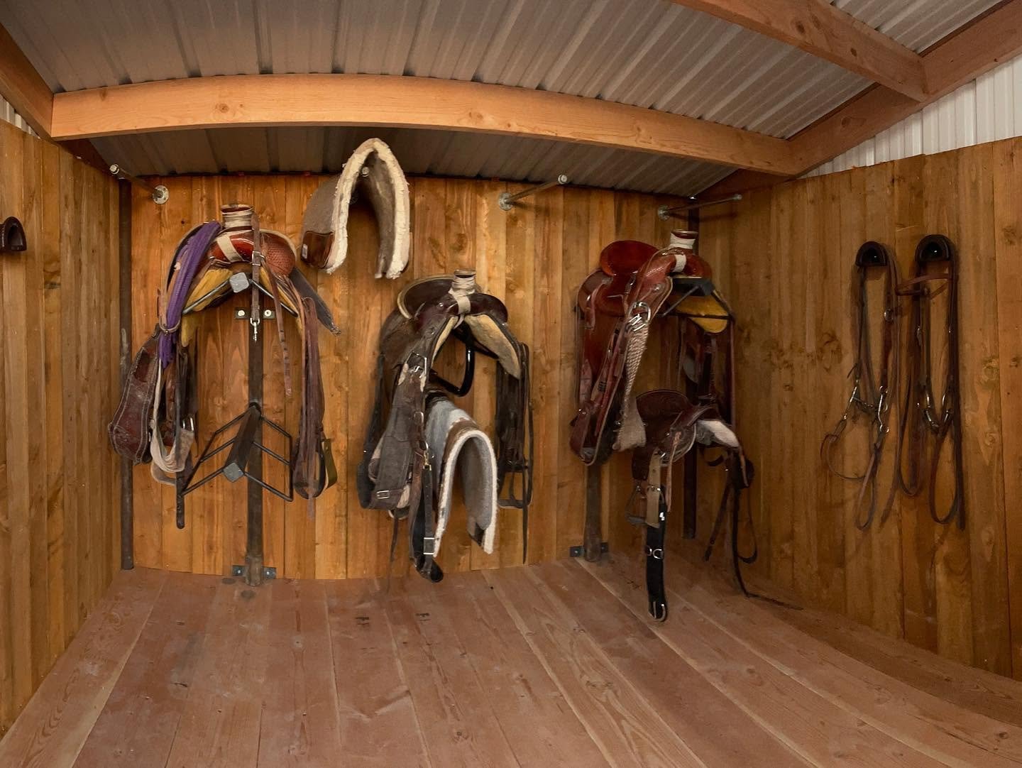 A wooden tack room with various saddles and bridles hanging on hooks and stands.