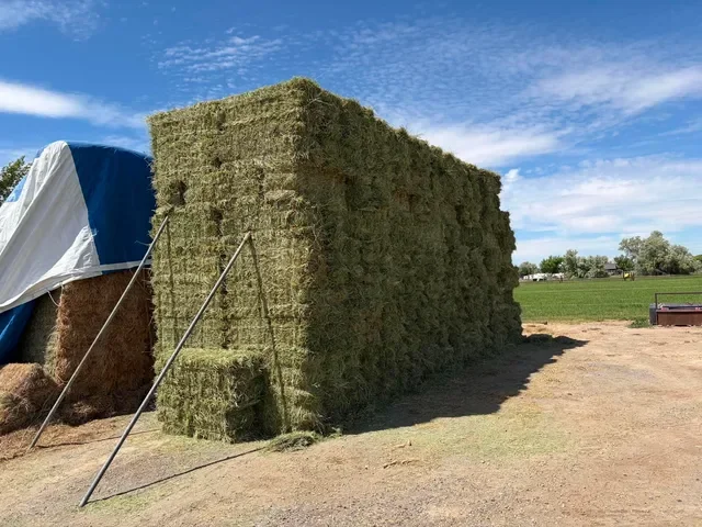 Stacked rectangular hay bales forming a large rectangular structure outdoors on a farm with a clear blue sky.