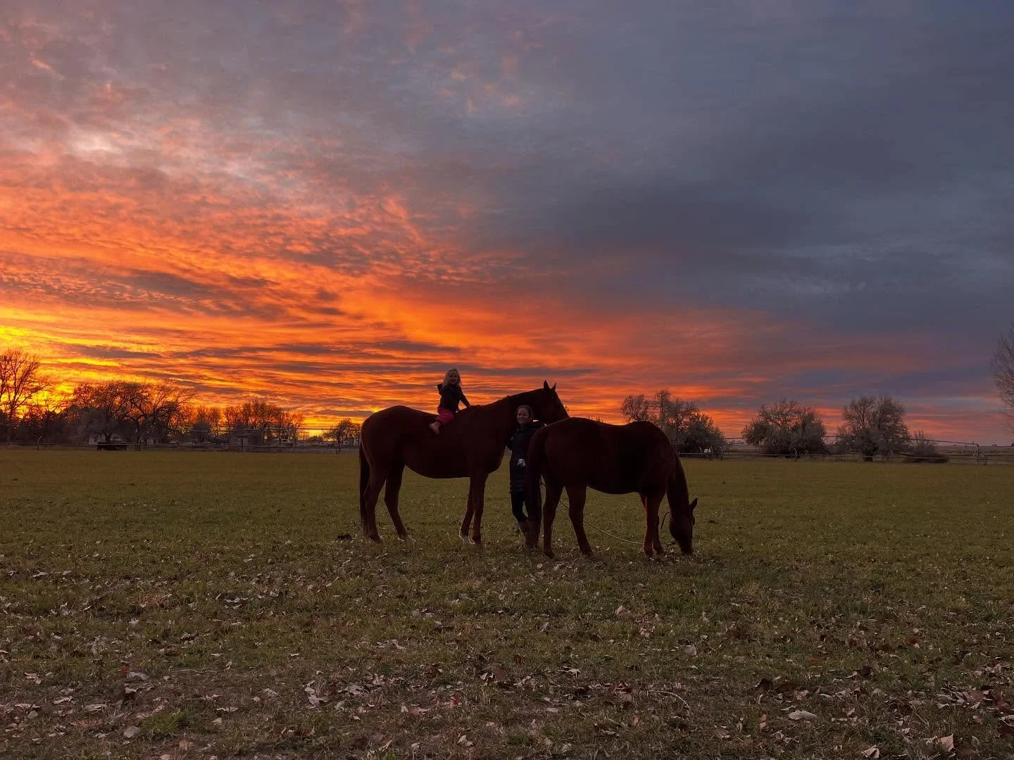 Two children with two horses on a grassy field during a dramatic autumn sunset with colorful clouds and trees in the distance.