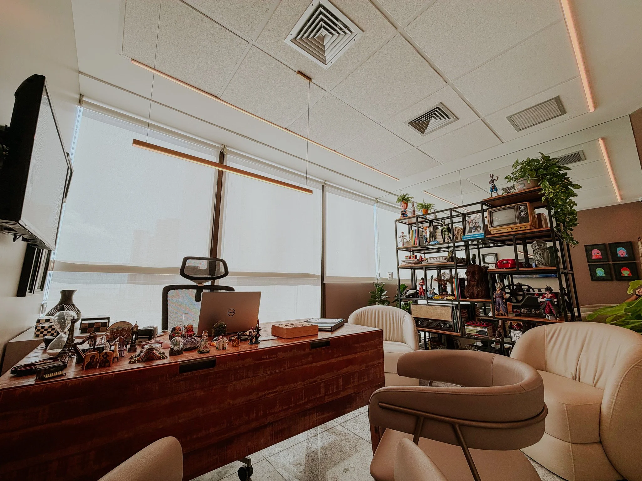 Sala Dr. João Ribeiro