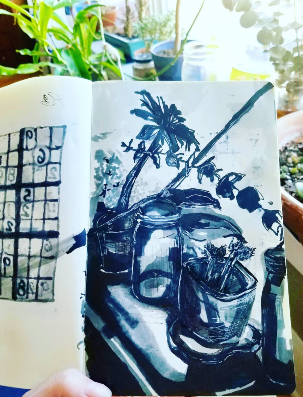 A sketch of a still life scene with potted plants, a jar, and a cup, drawn in dark ink on a white page, with a background of indoor plants and sunlight.