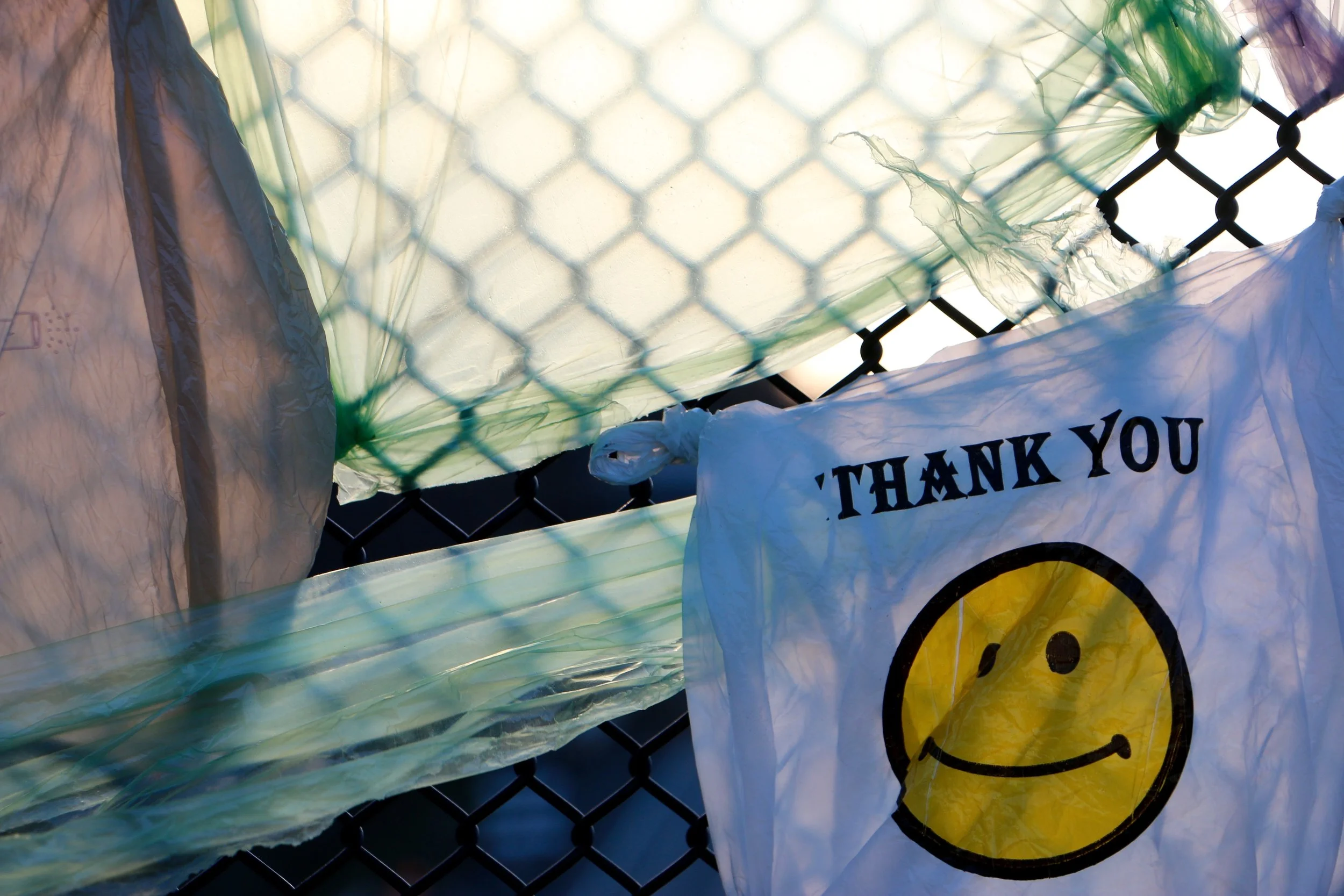 Colorful plastic shopping bags hanging on a black chain-link fence with sunlight filtering through, one bag bearing a yellow smiley face and the word 'THANK YOU'.