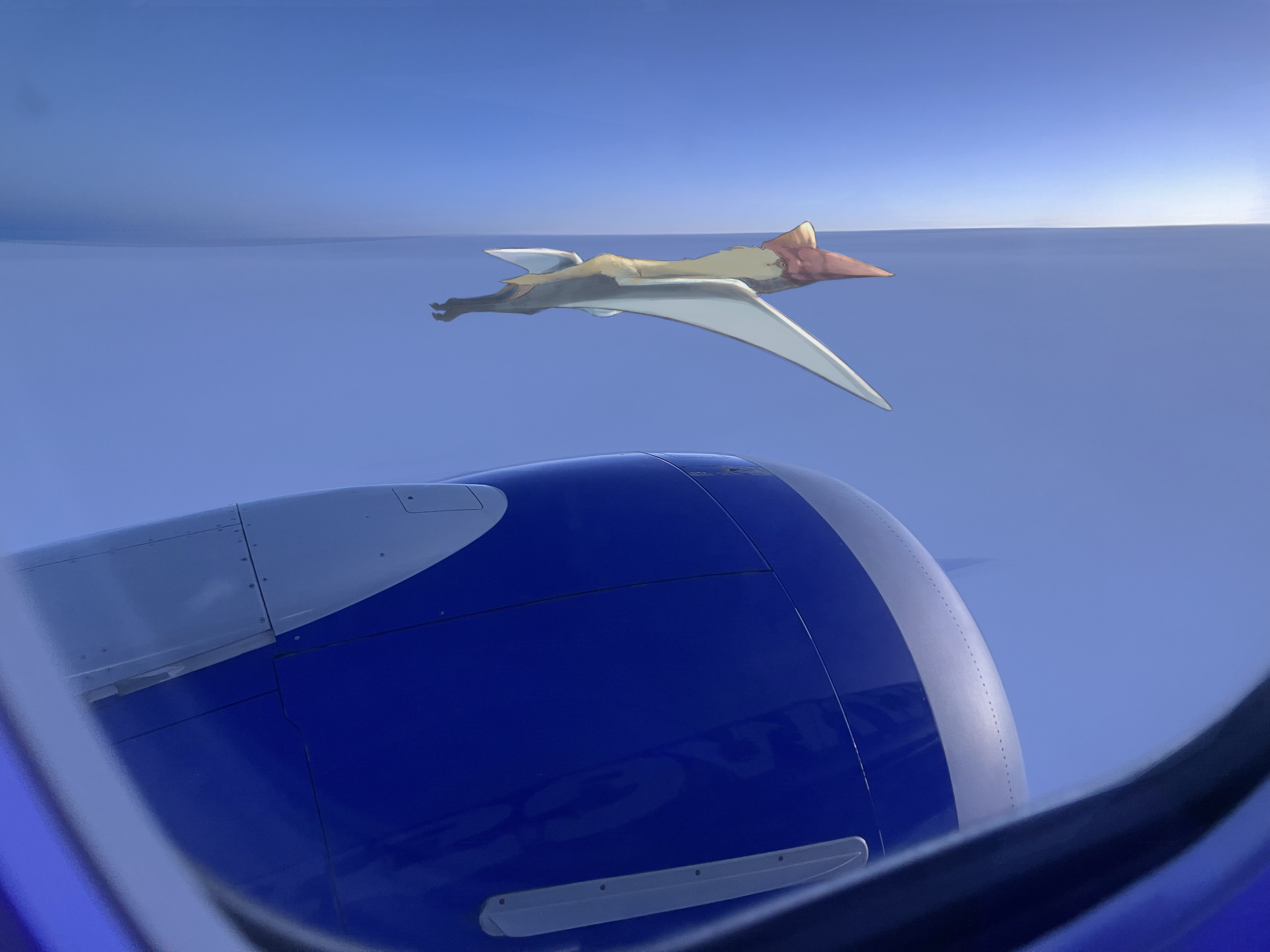 flying.png
