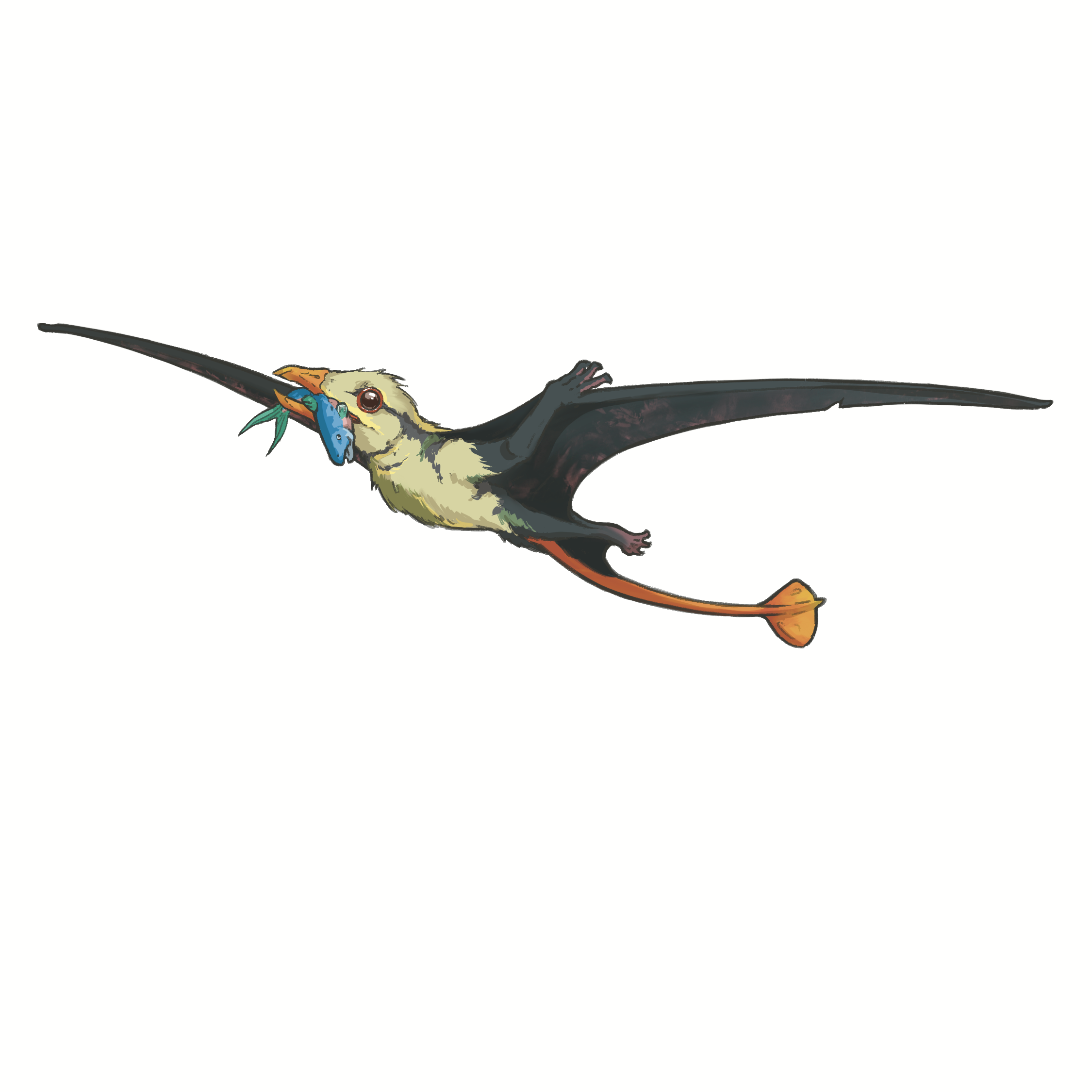 campylognathoides_sticker.png