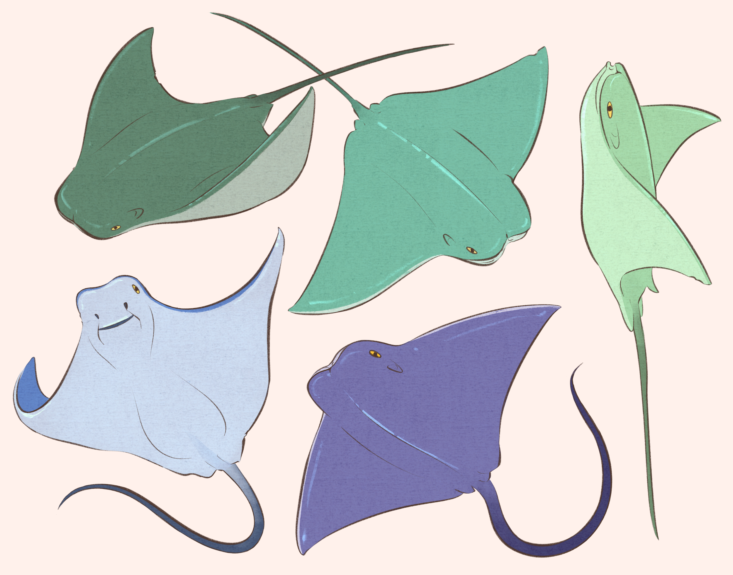 Untitled_Artwork 1.png