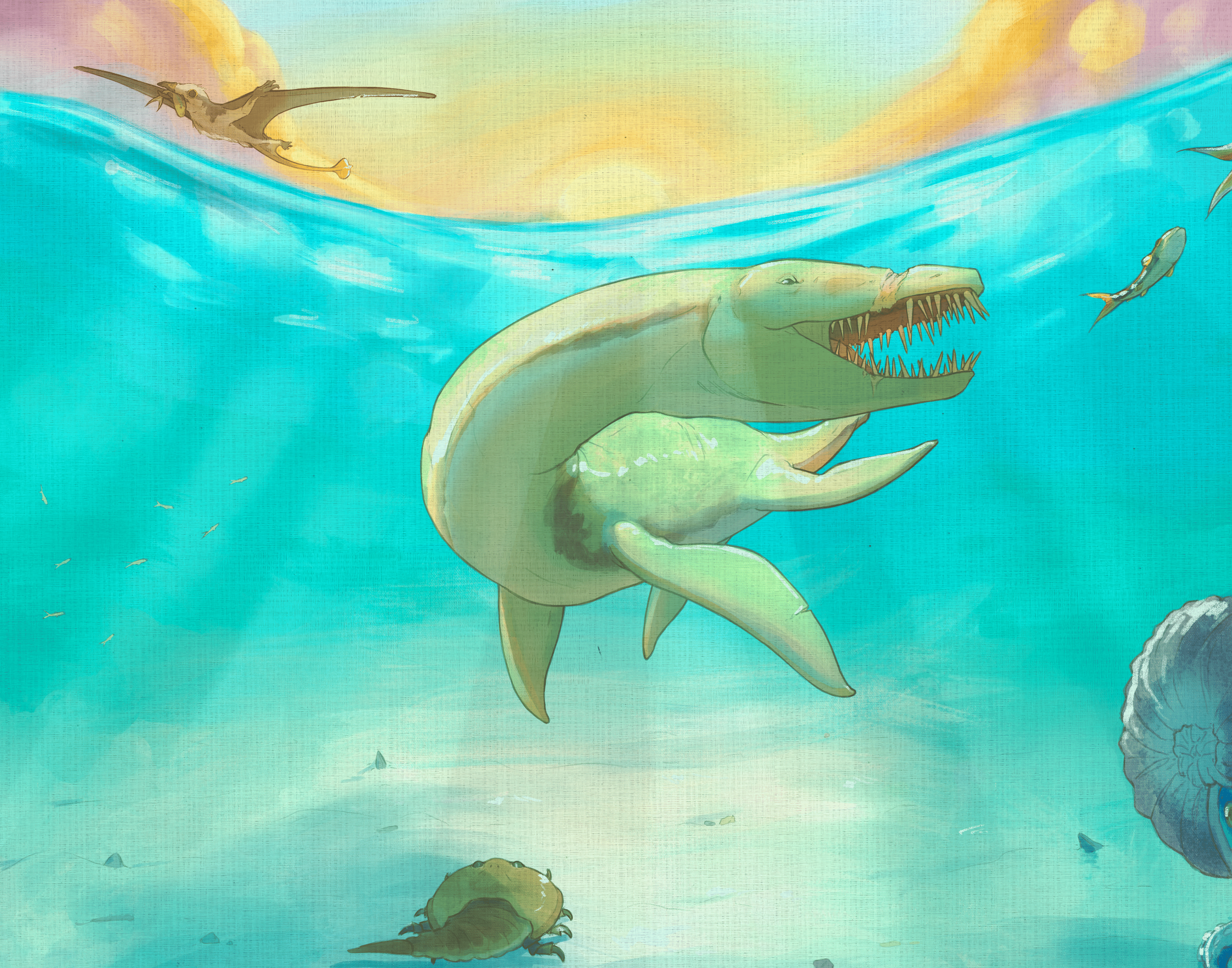 plesiosaur_spread.png