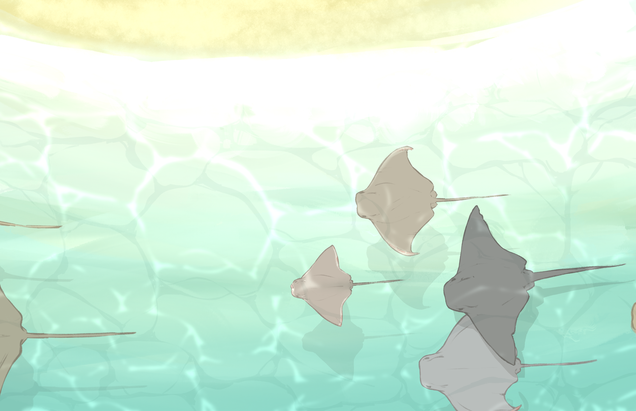 Untitled_Artwork 2 (3).png