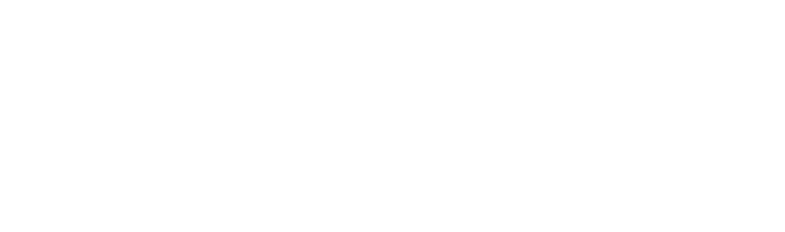 logo-the genearl.png