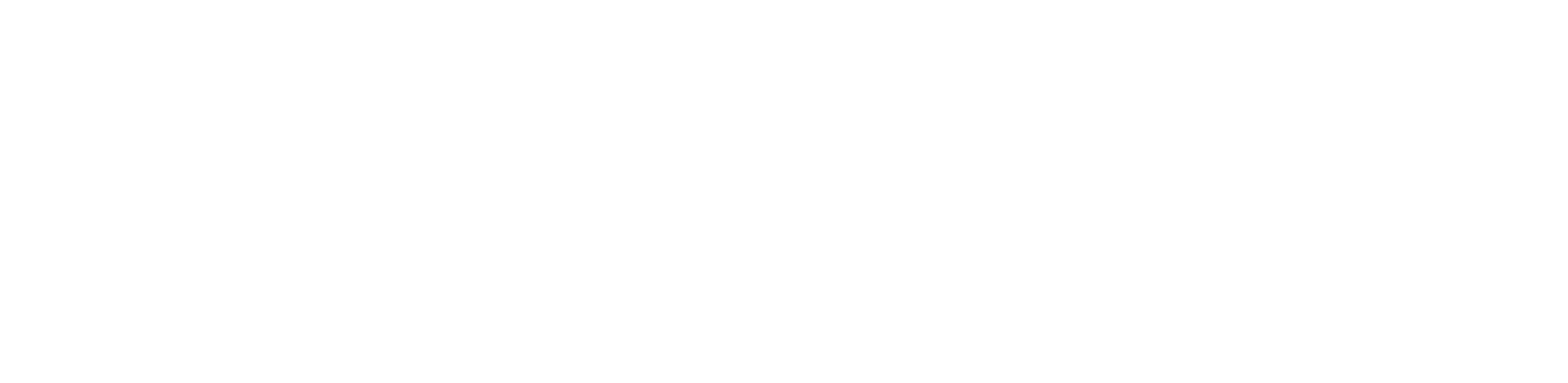 logo-boldt copy.png