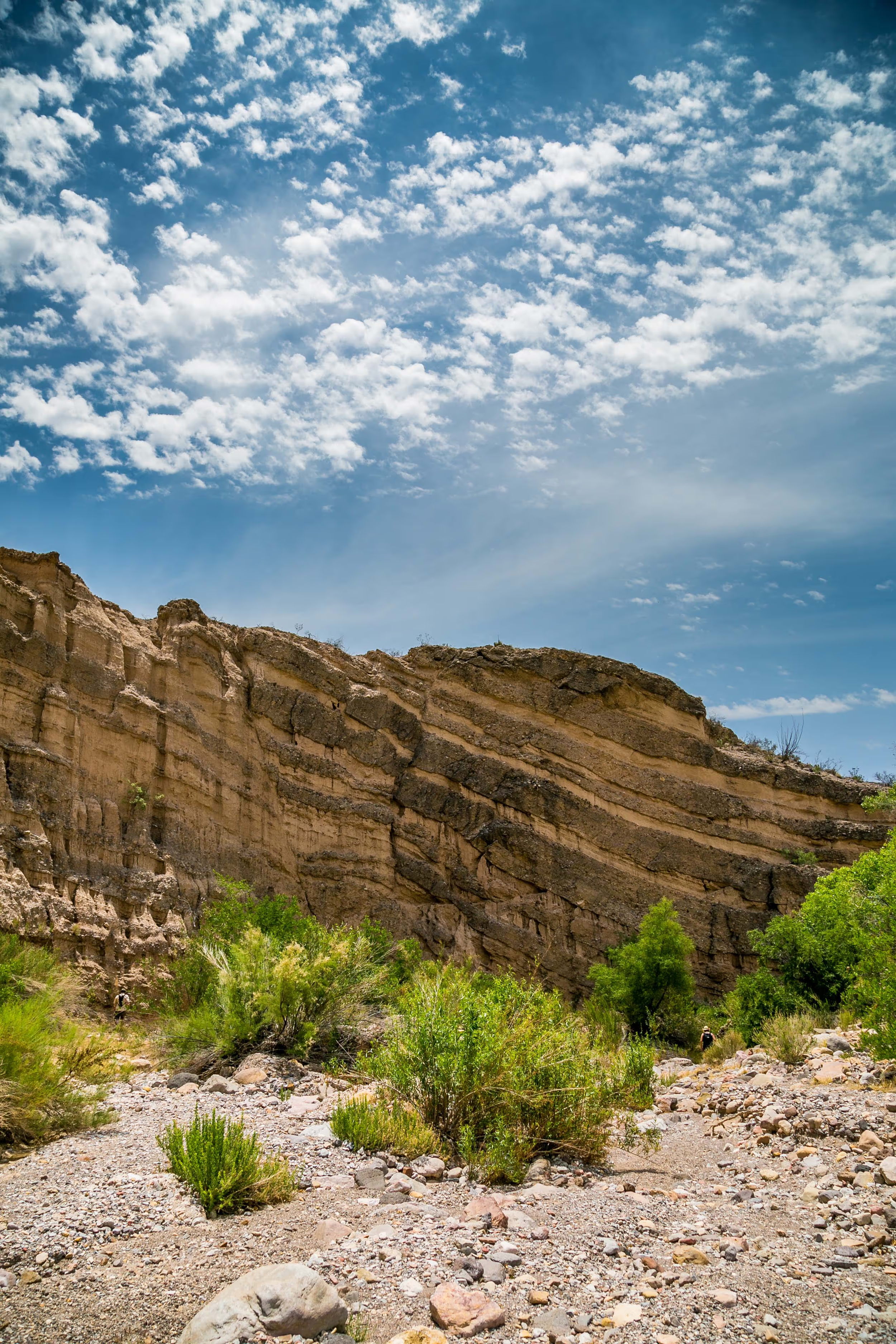 Rocky desert landscape with sparse green plants and a layered rock formation under a partly cloudy sky.