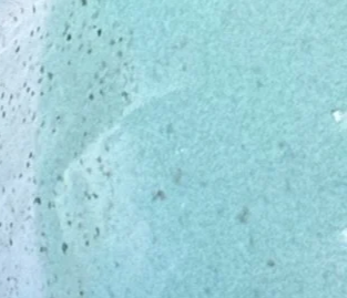 Close-up of a smooth, light blue surface with some darker specks and speckles.