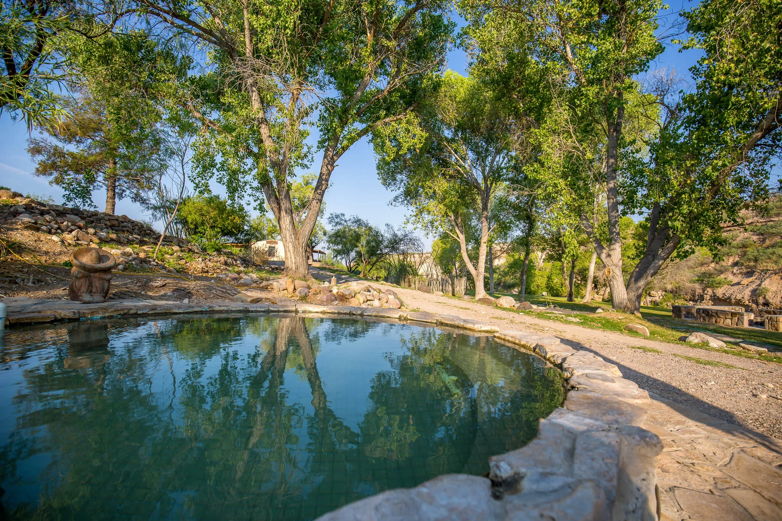 A serene outdoor scene featuring a hot spring pool surrounded by large rocks, with tall green trees and a clear blue sky in the background.