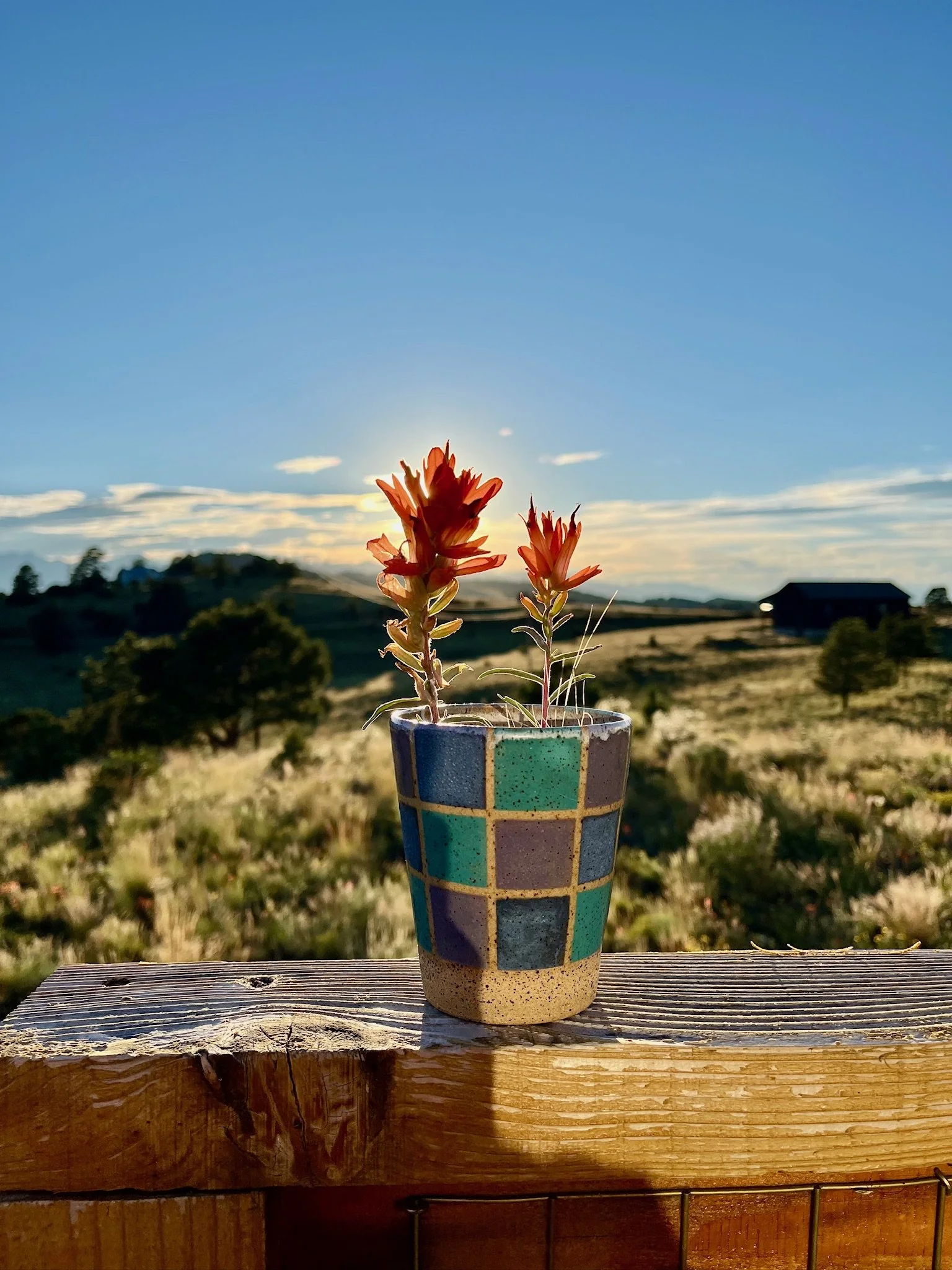 A small potted plant with red flowers on a wooden surface outdoors, with a scenic rural landscape and blue sky in the background.