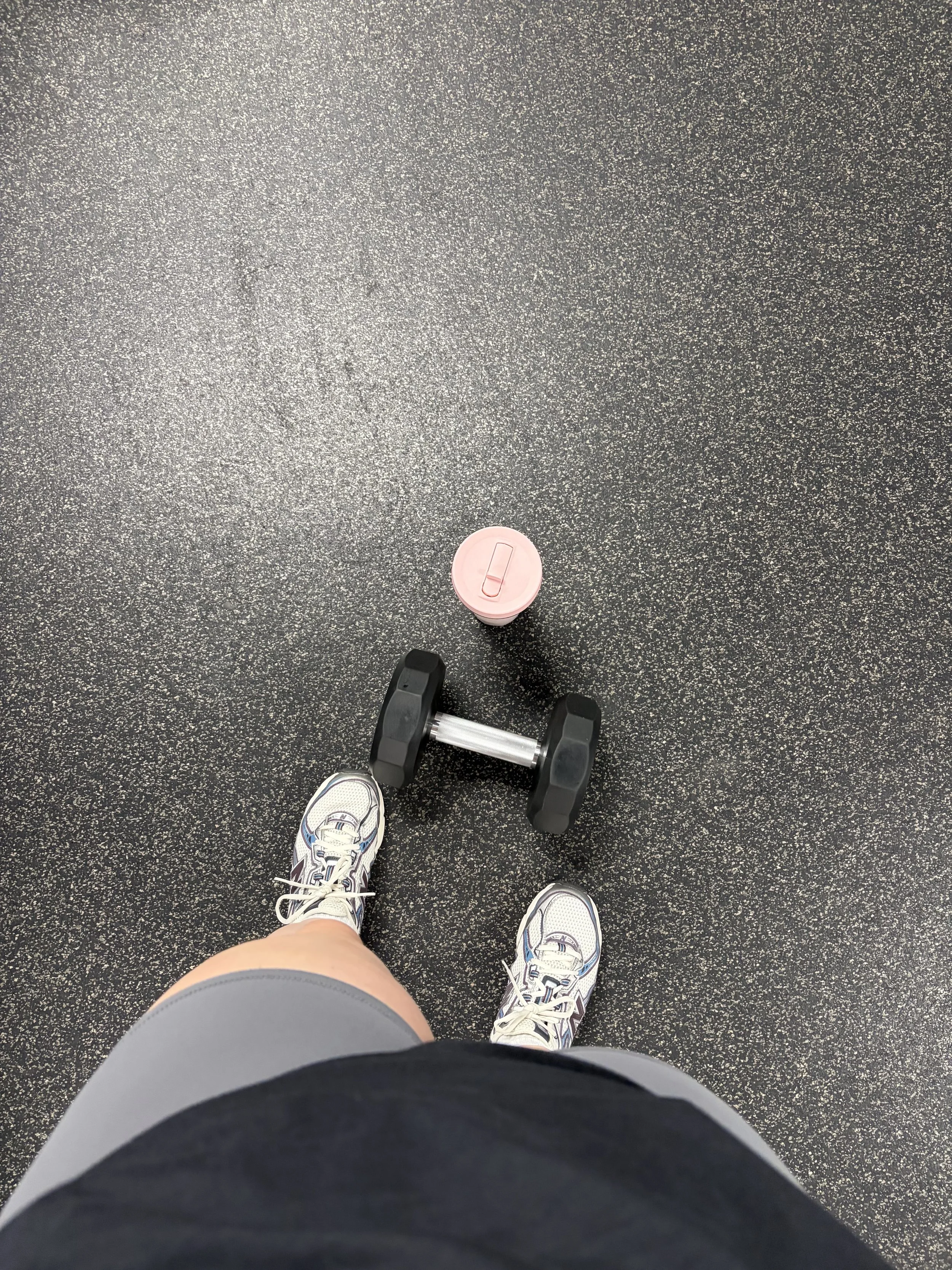 gym.jpg