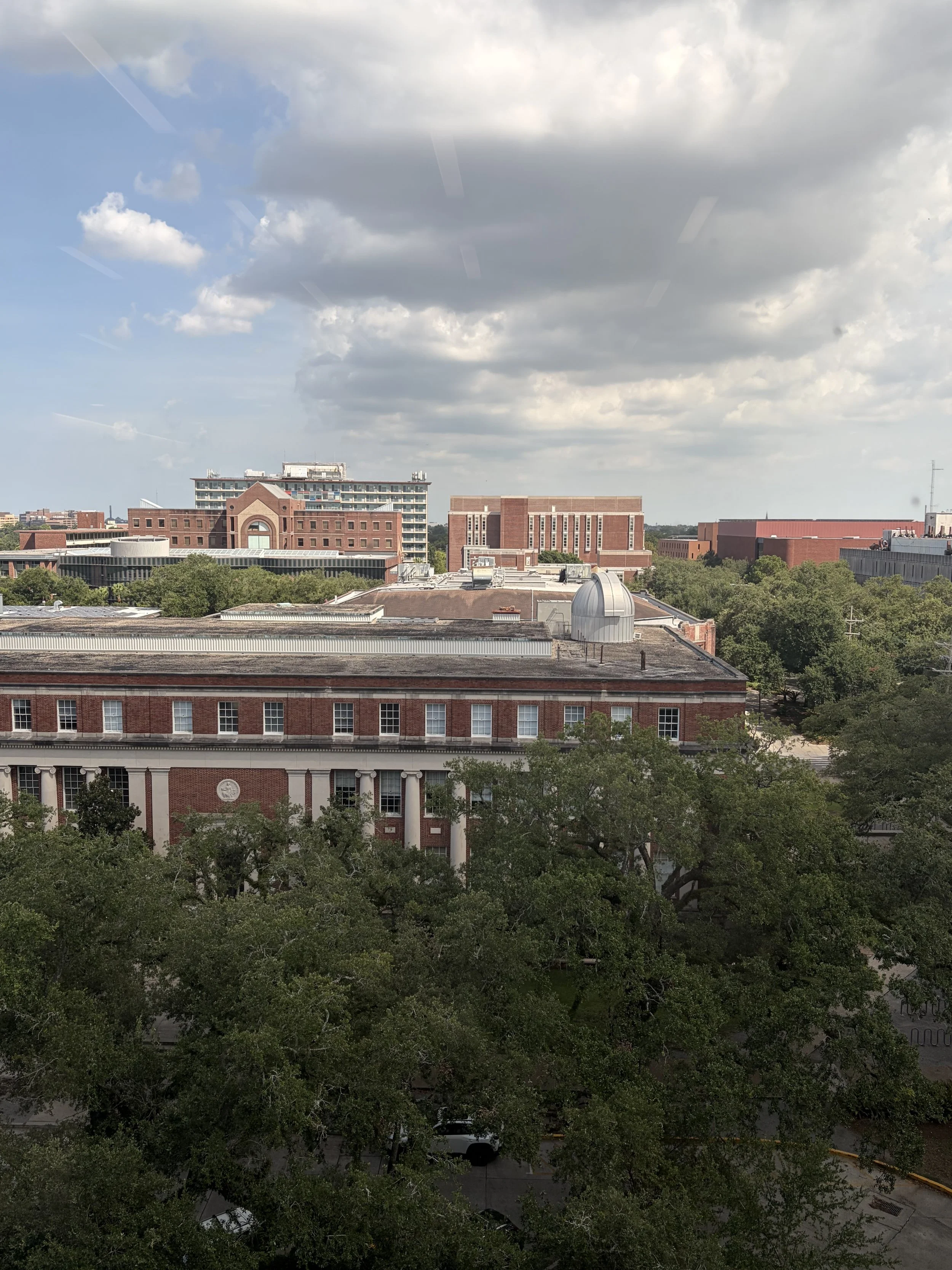 view from the library.jpg
