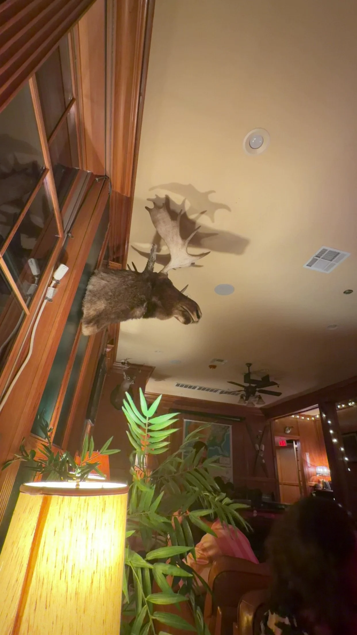 library bar.JPG
