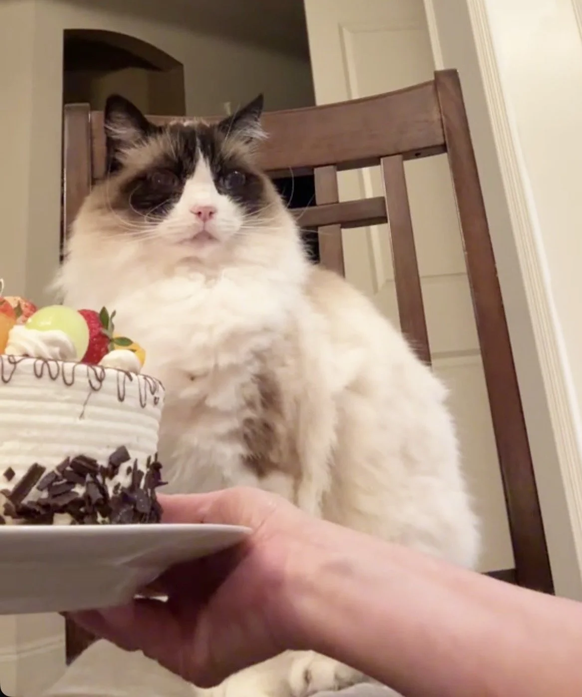 clee bday.jpg