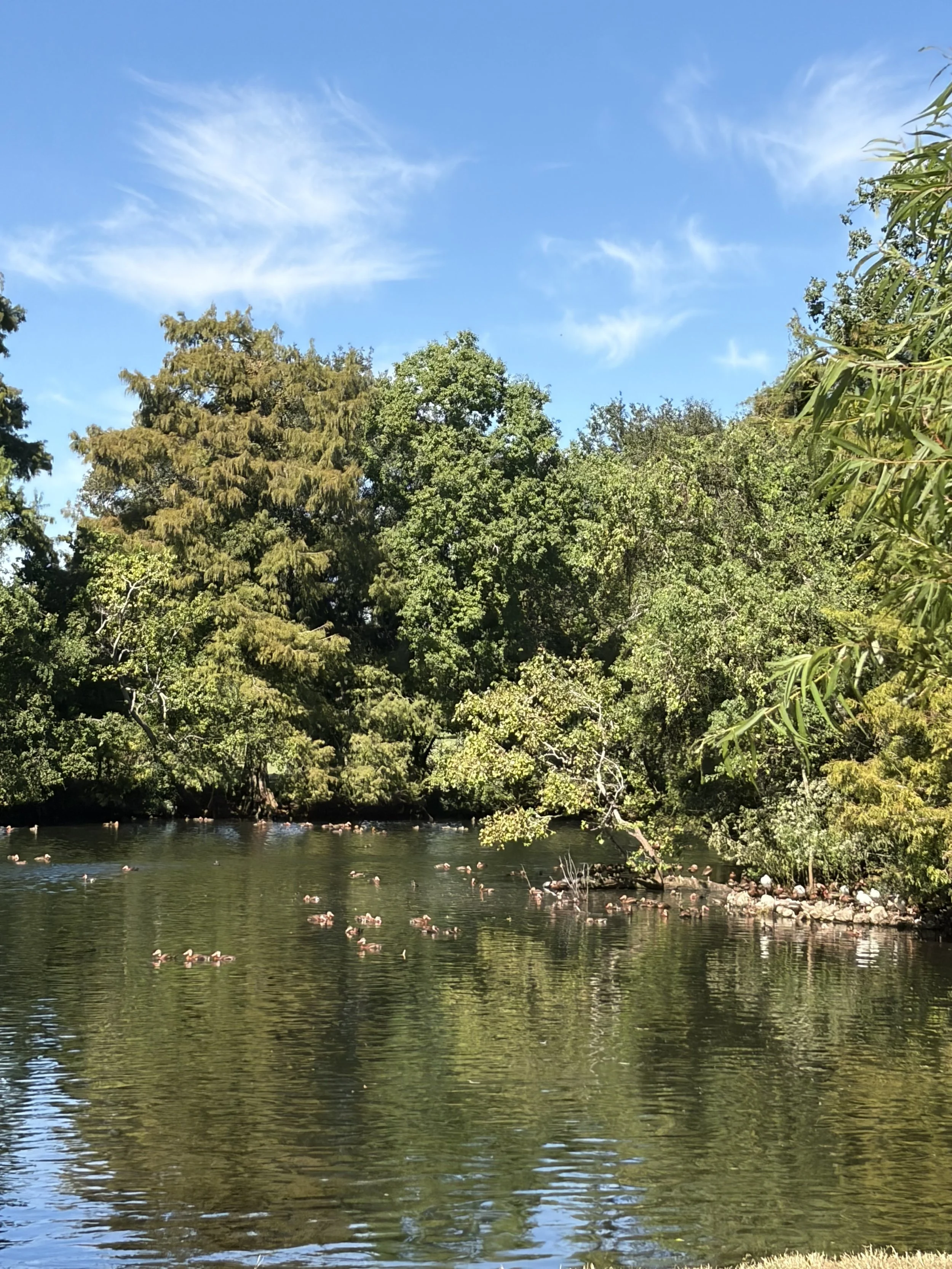 audbun park.jpg