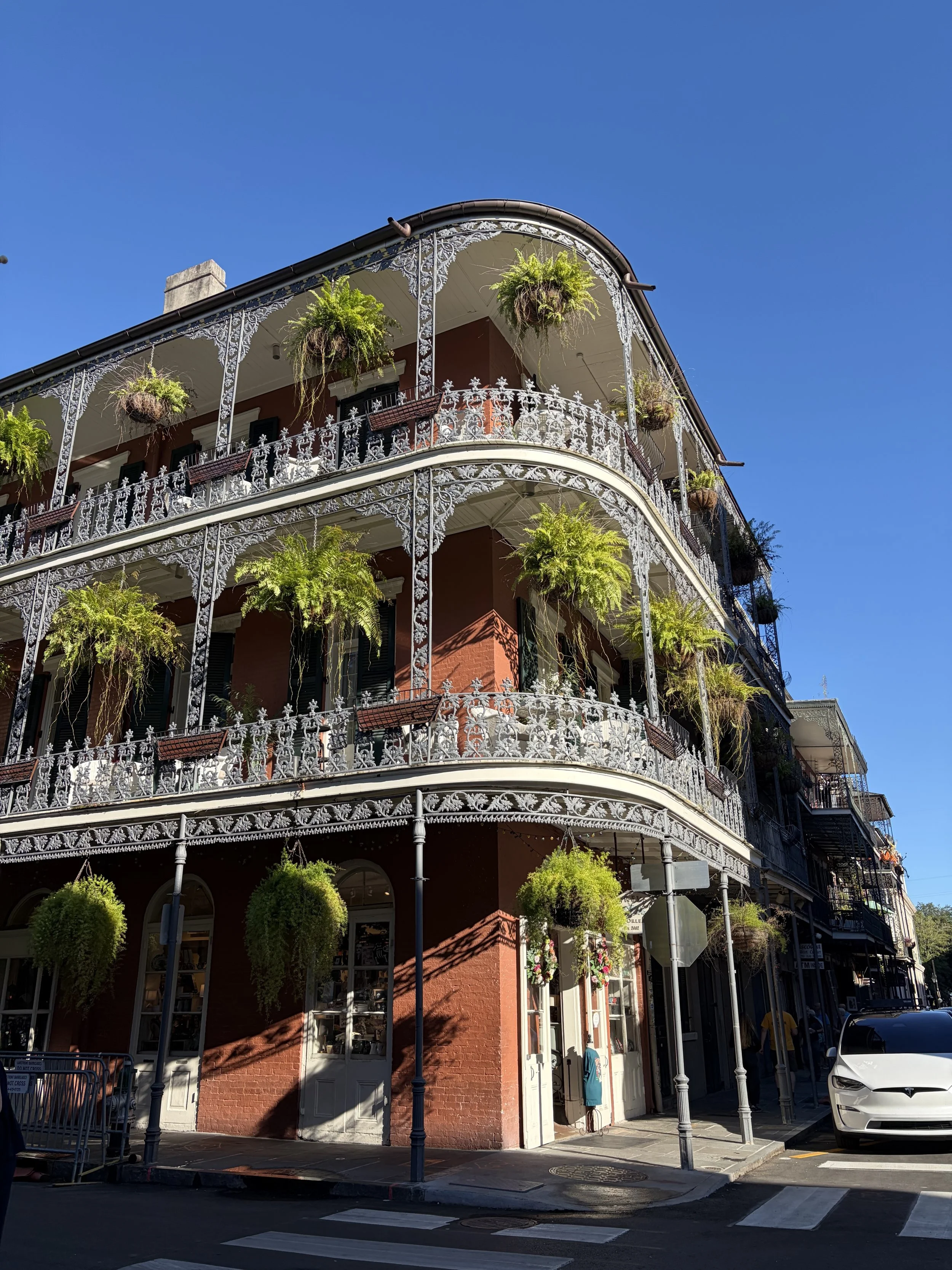 nola 2.jpg