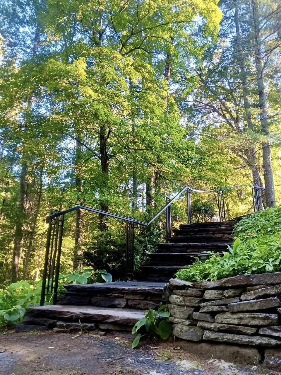 Stone steps with a metal railing in a wooded area with green trees and plants.